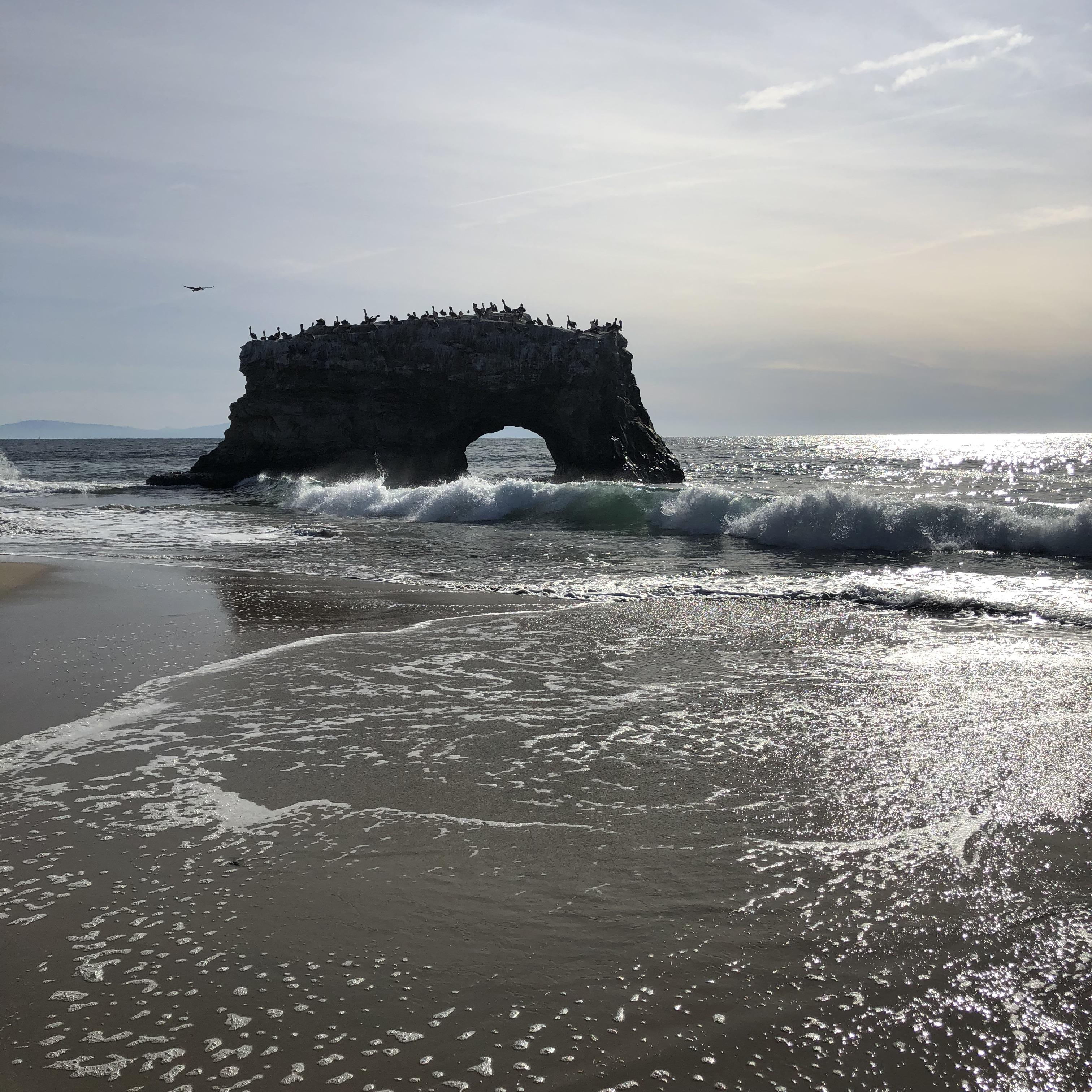 Natural bridges state park santa cruz ca r/pics