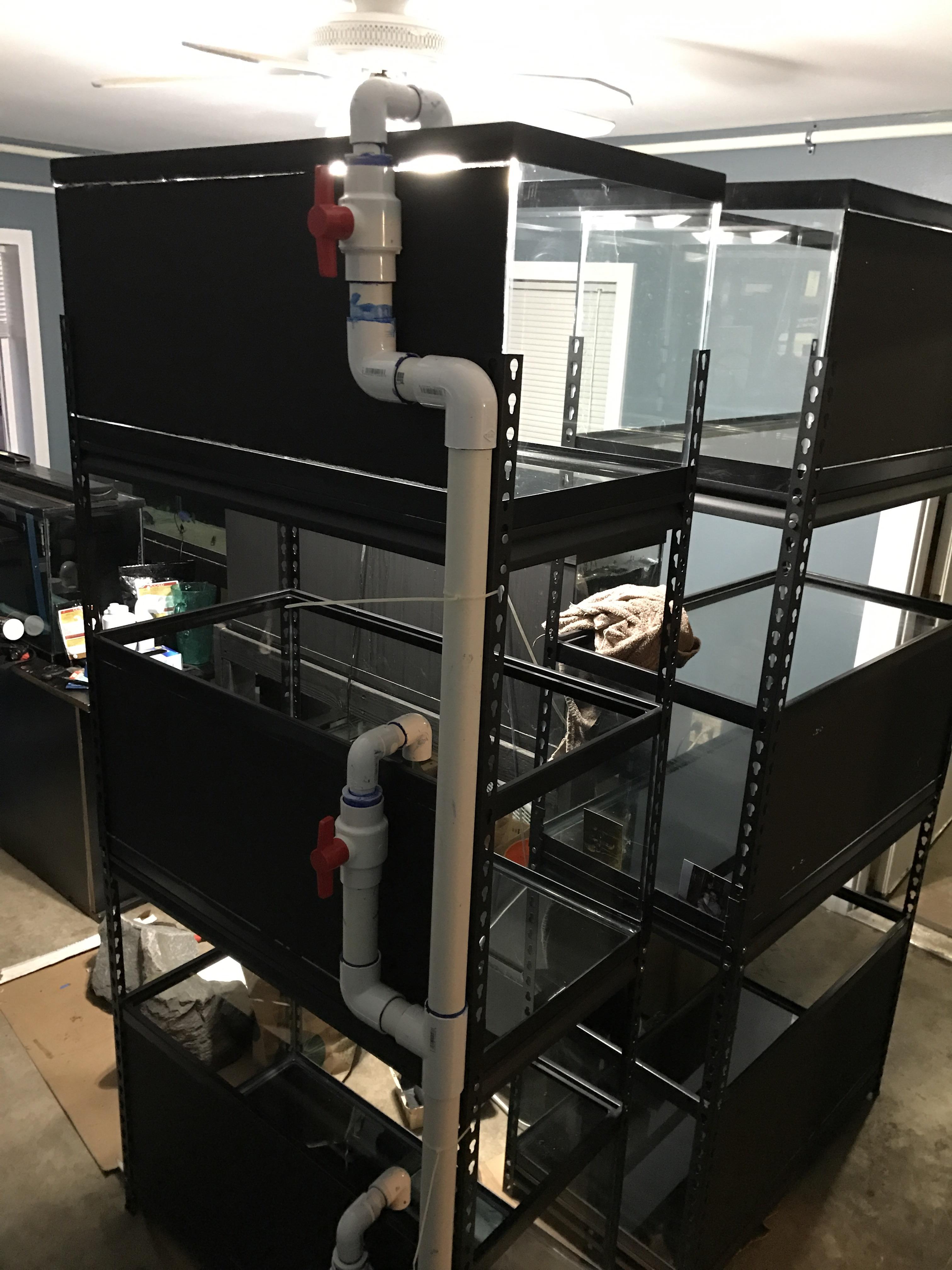 Plumbing tanks for my fishroom. r/Aquariums