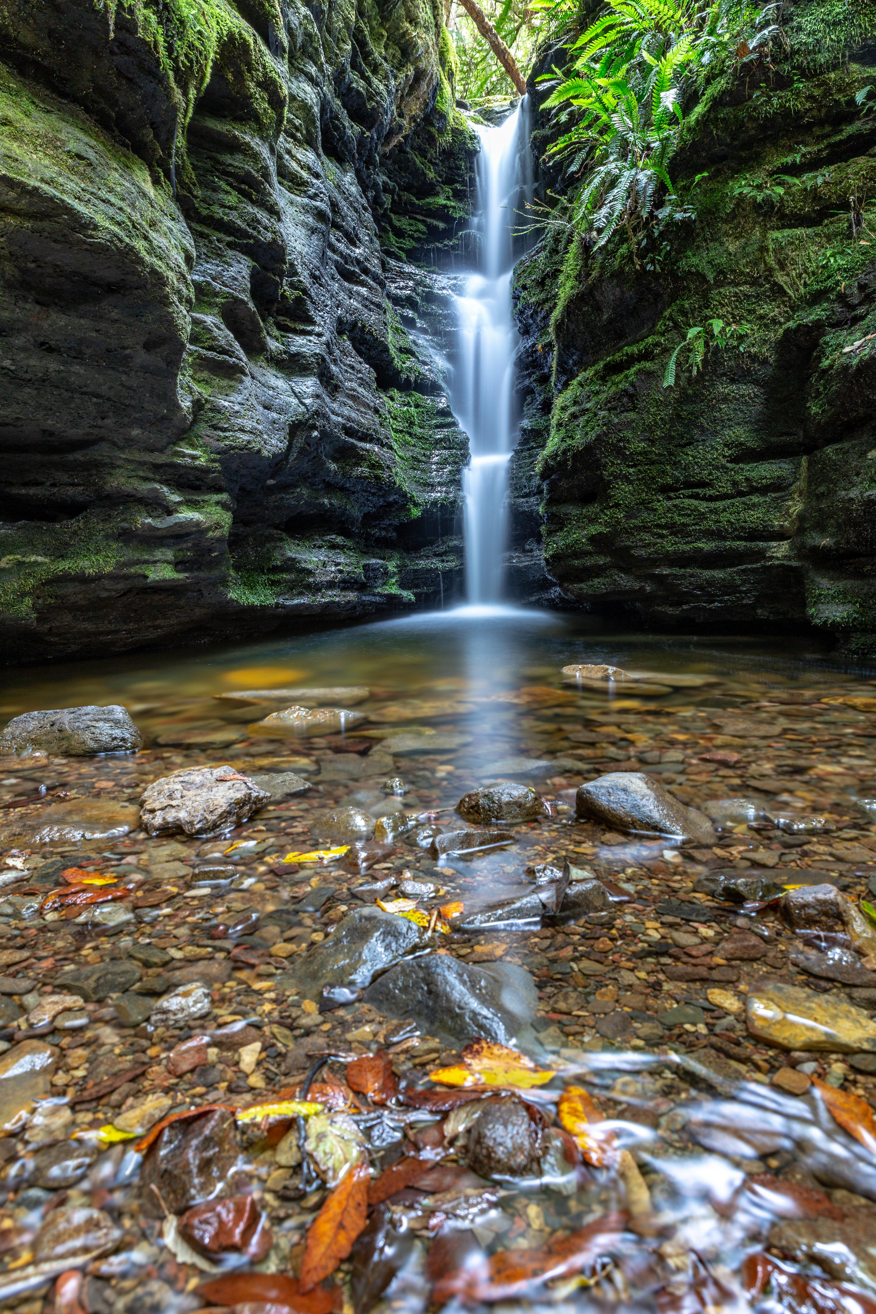 Hidden Falls, Hobart, Tasmania, Australia [OC] [3648 x 5472] r/EarthPorn