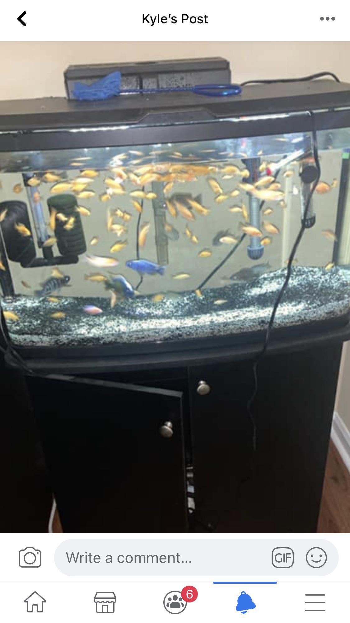 Found this on Facebook in a fish group, so overcrowded r/shittyaquariums