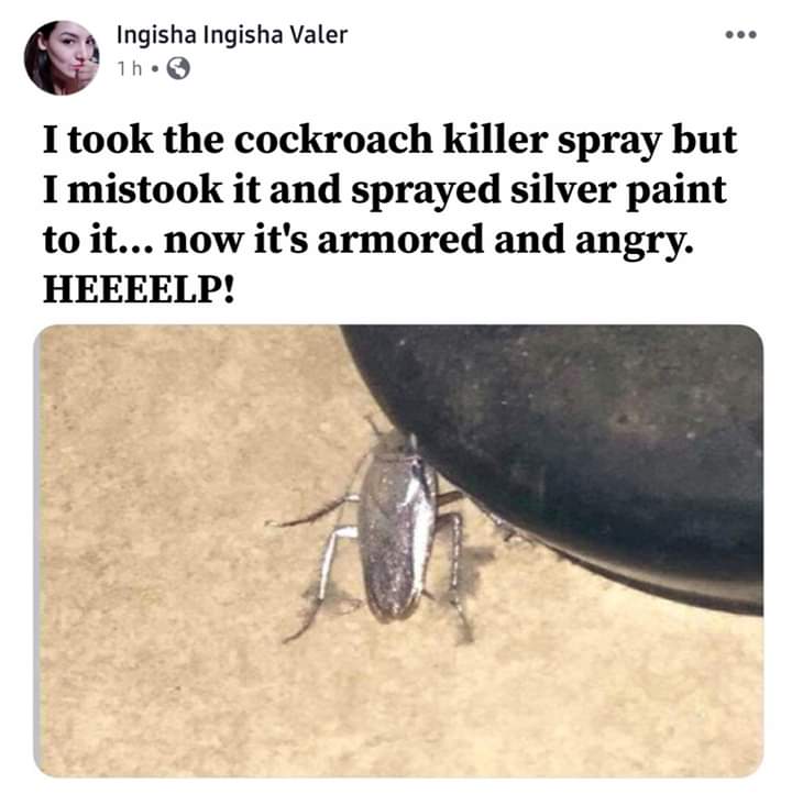 A Picture Of Cockroach Attack