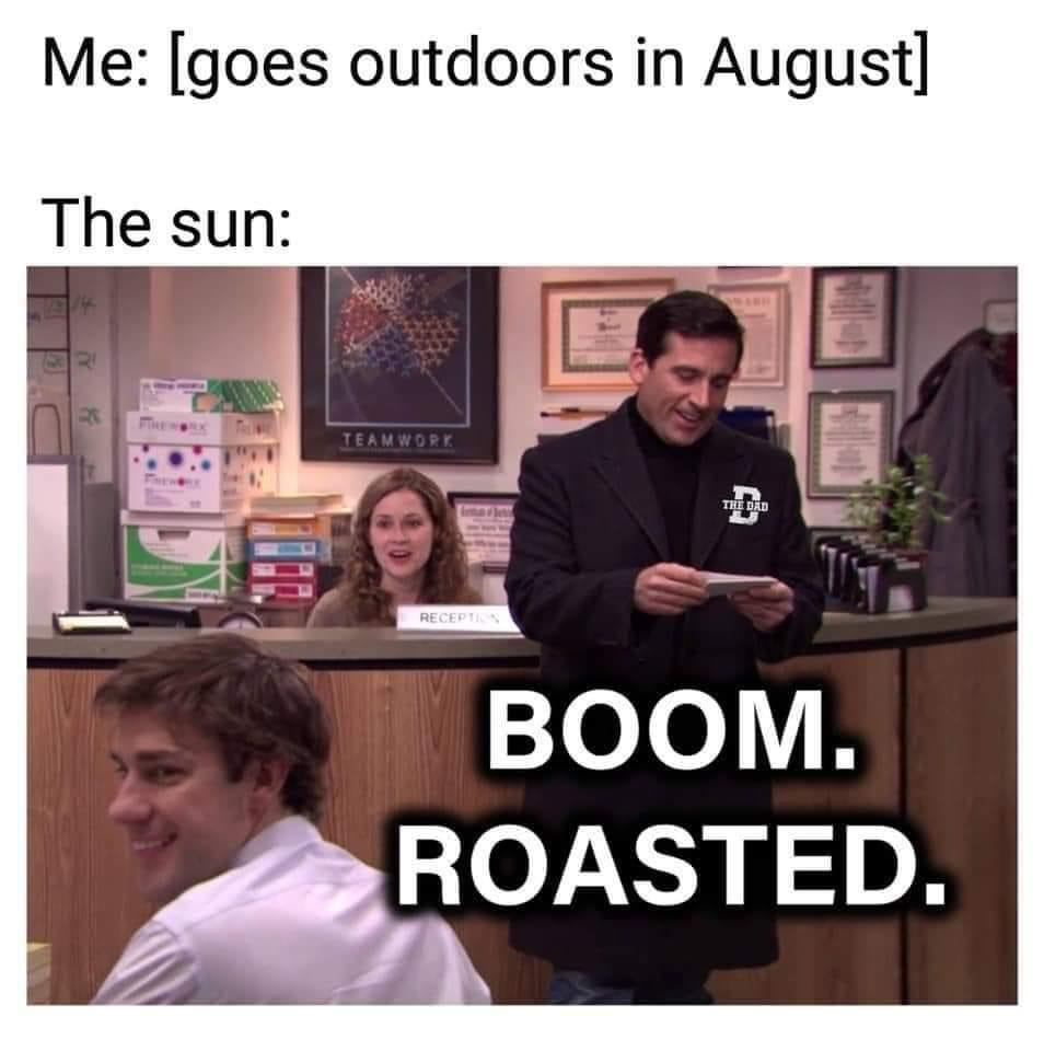 Boom. Roasted. r/DunderMifflin