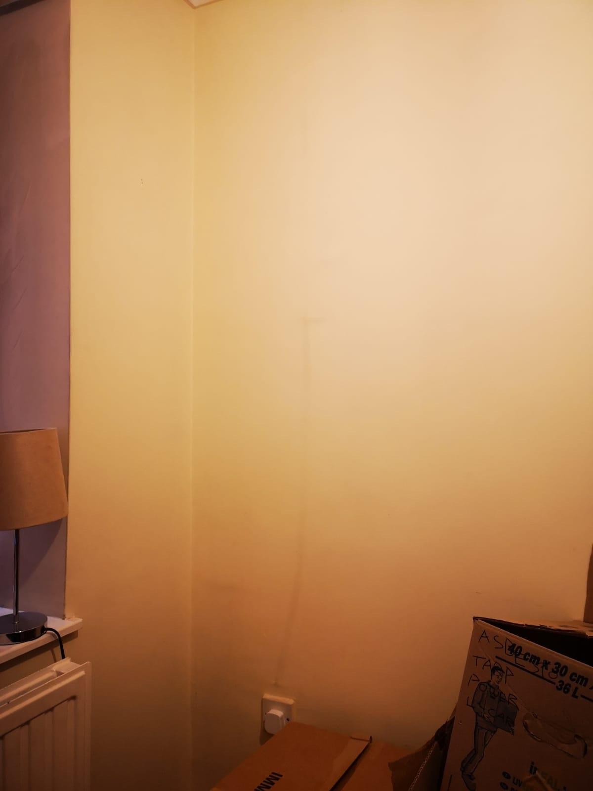 Am I going to die? Weird dark marks following the cabling under the