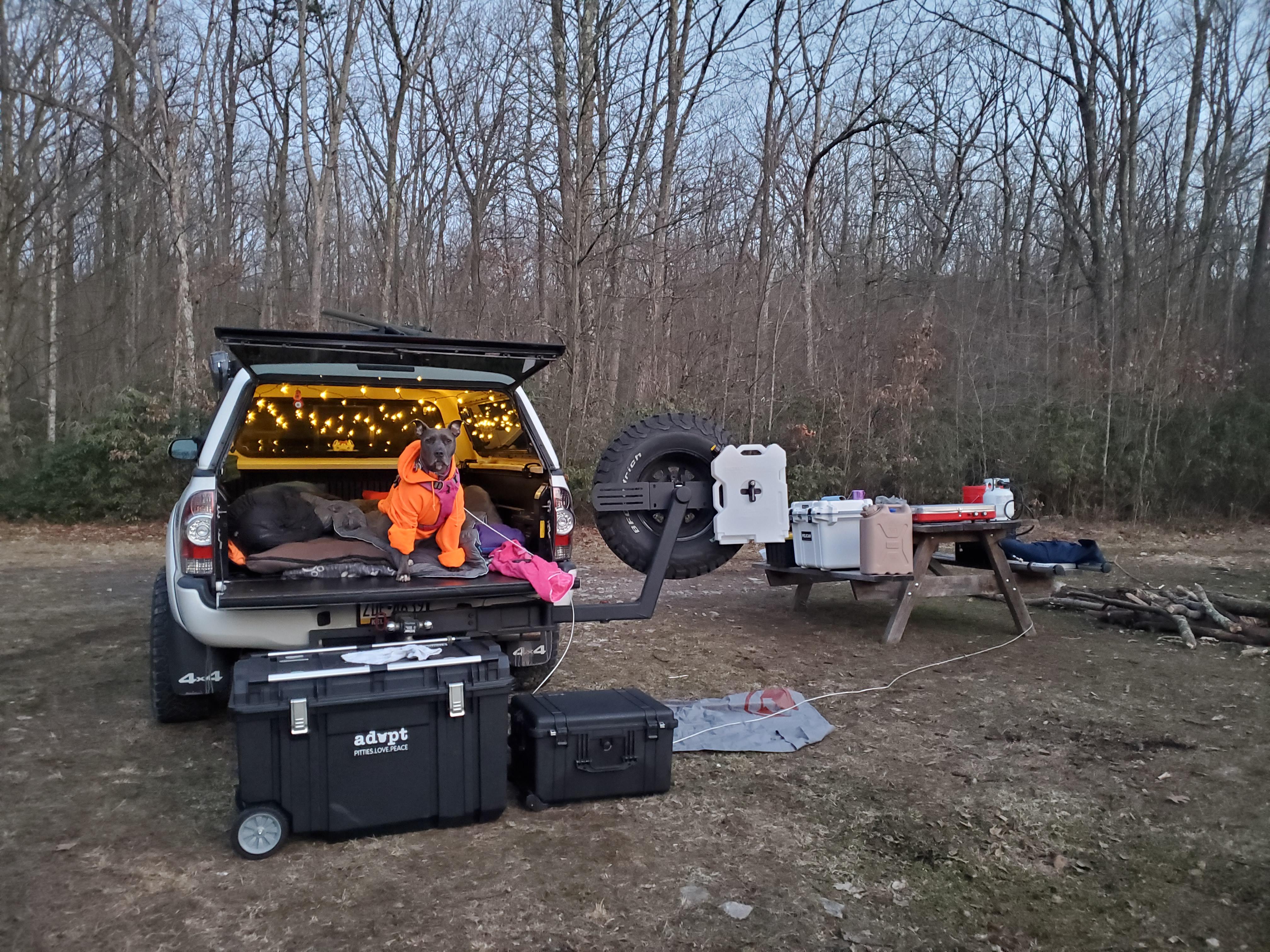 Truck bed camping setup!