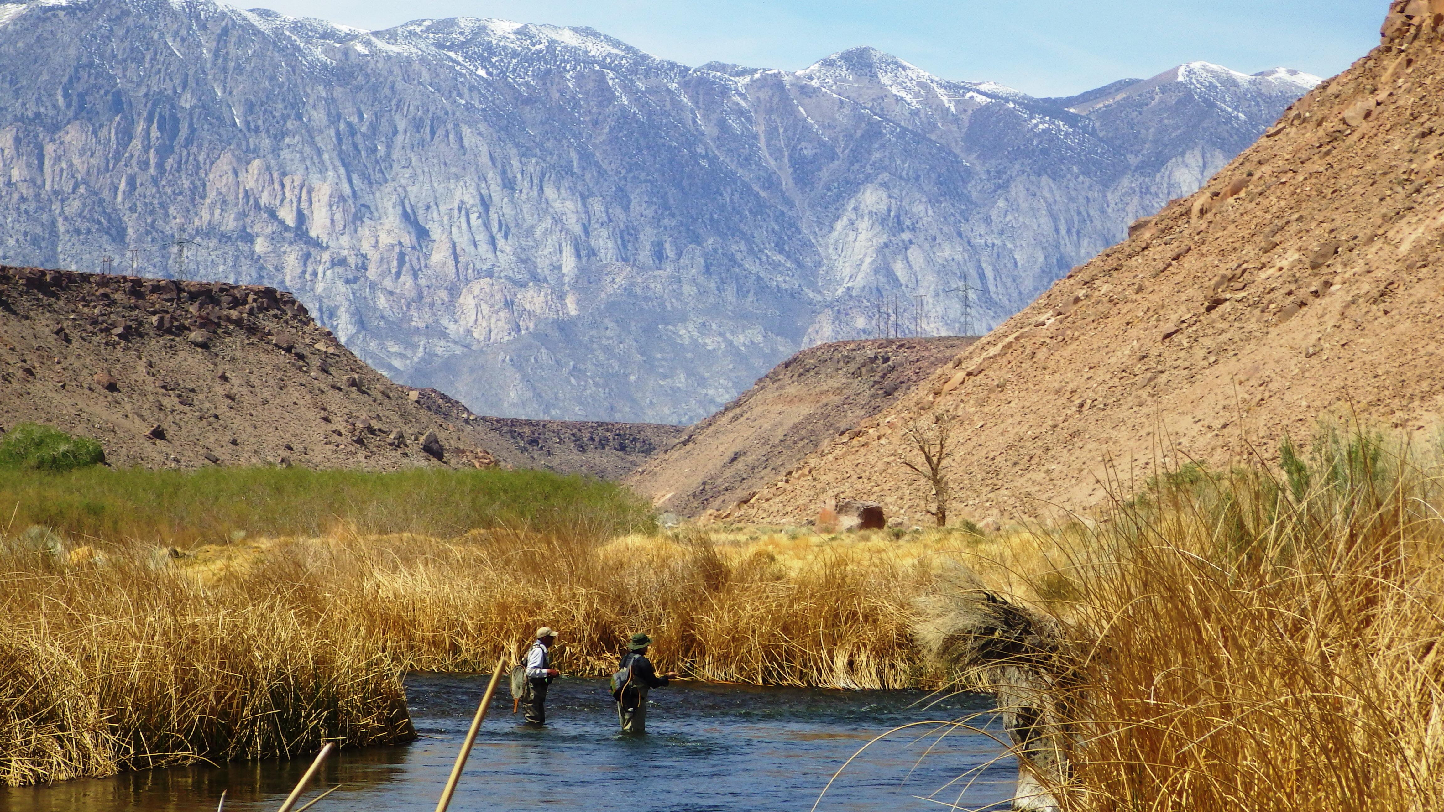 Eastern Sierra fly fishing late March r/flyfishing
