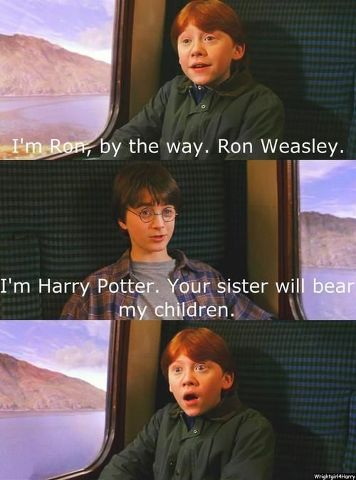 Foreshadowing all the way back at the beginning harrypotter