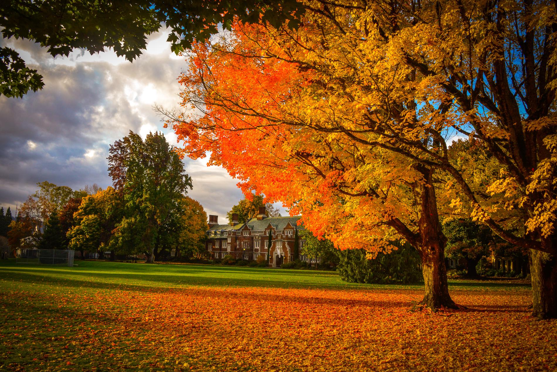 Reed College r/Portland
