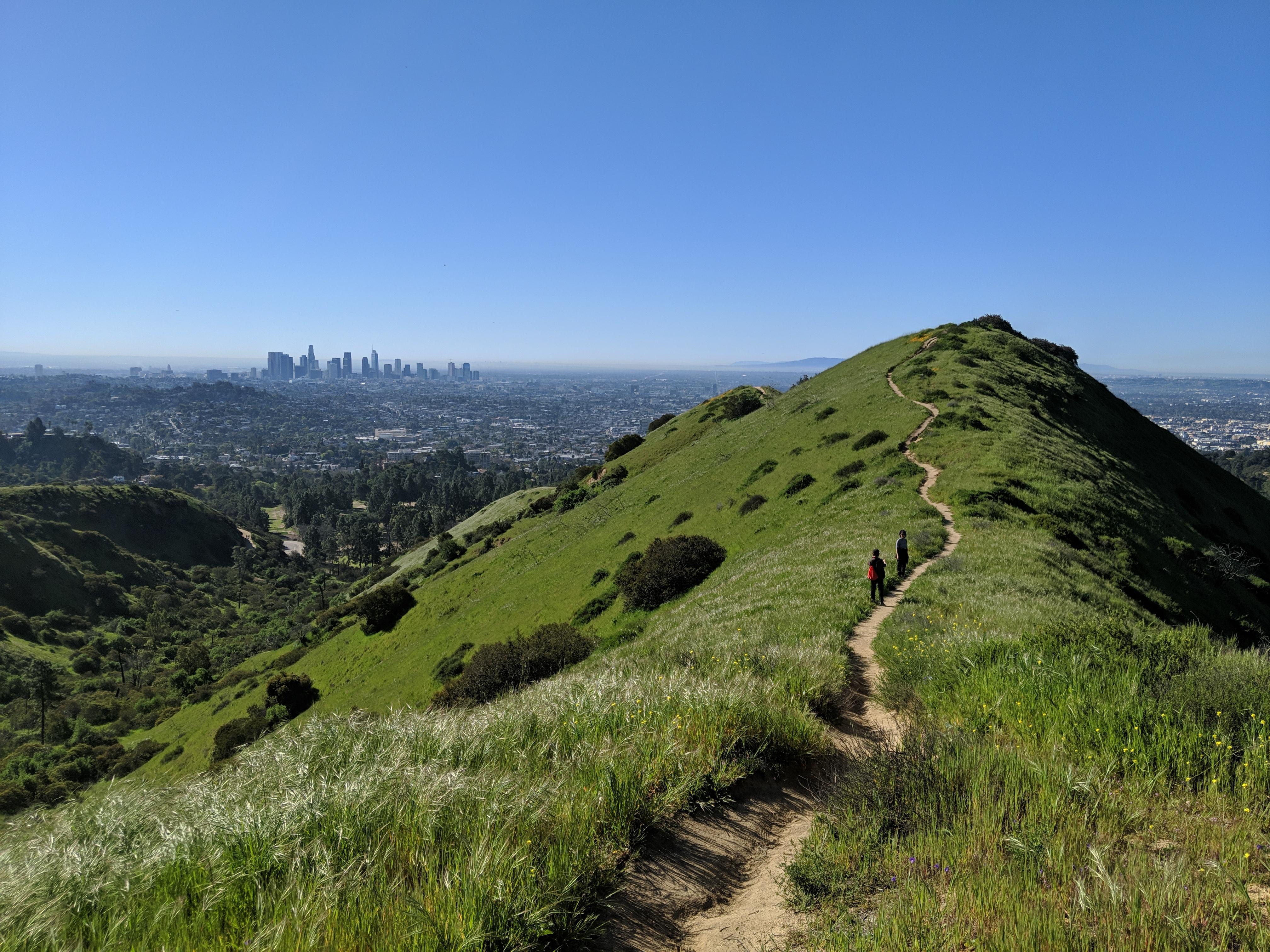 Pretty Trail in Los Angeles (Griffith Park) trailrunning