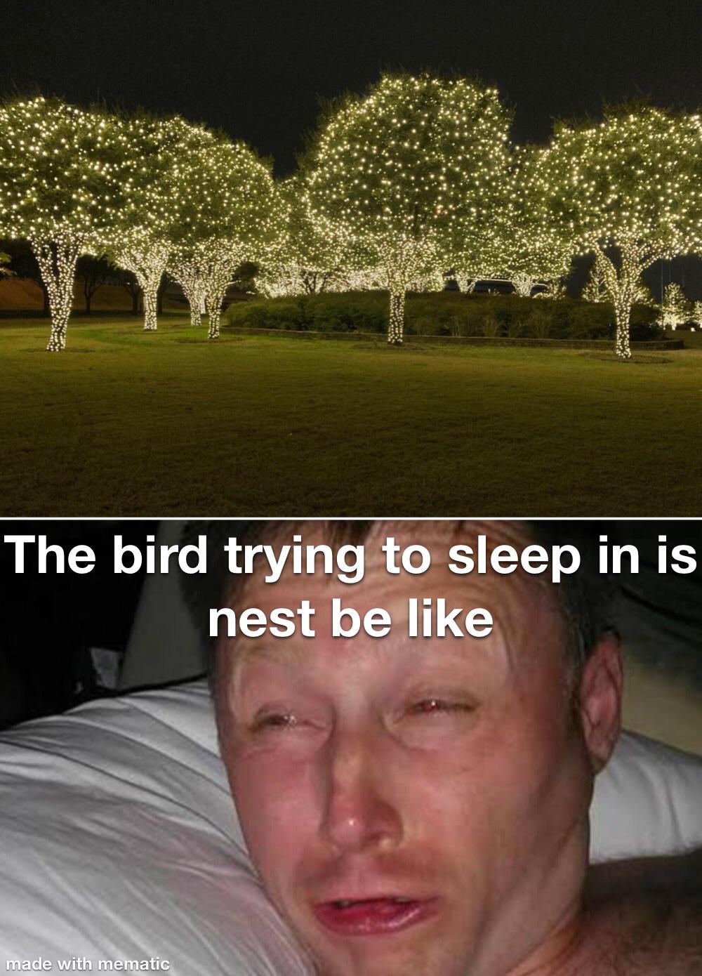 How do they put the lights on top of the trees tho… r/meme