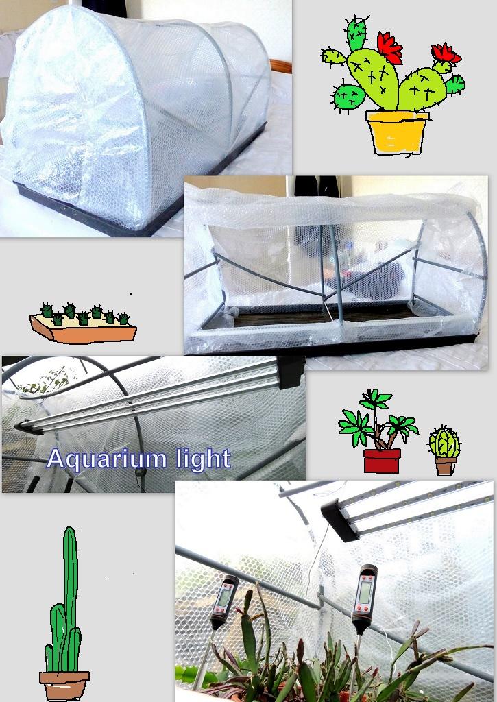 PROPAGATOR ( DIY ) Plant tray, plastic water pipe, bubble wrap