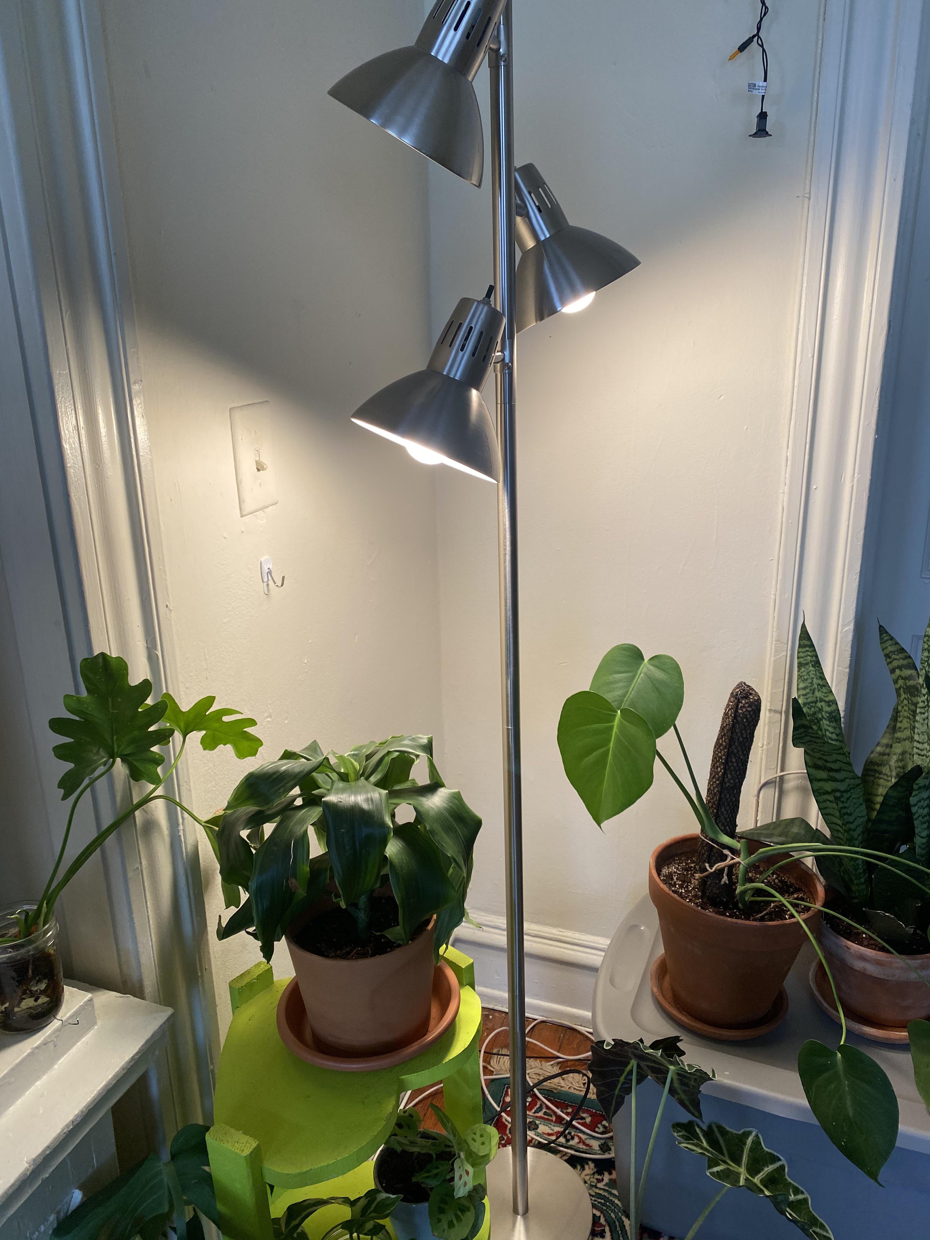 Grow bulbs for lamp? Only seeing premade grow lamps for sale, what are
