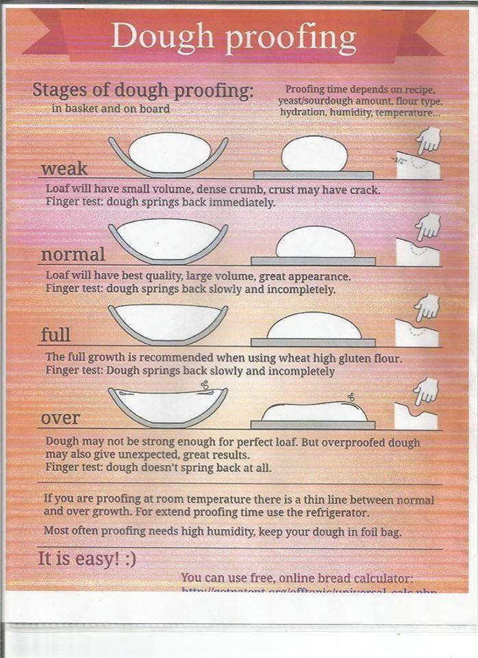 Dough Proofing Guide (found it on bookface) r/Breadit