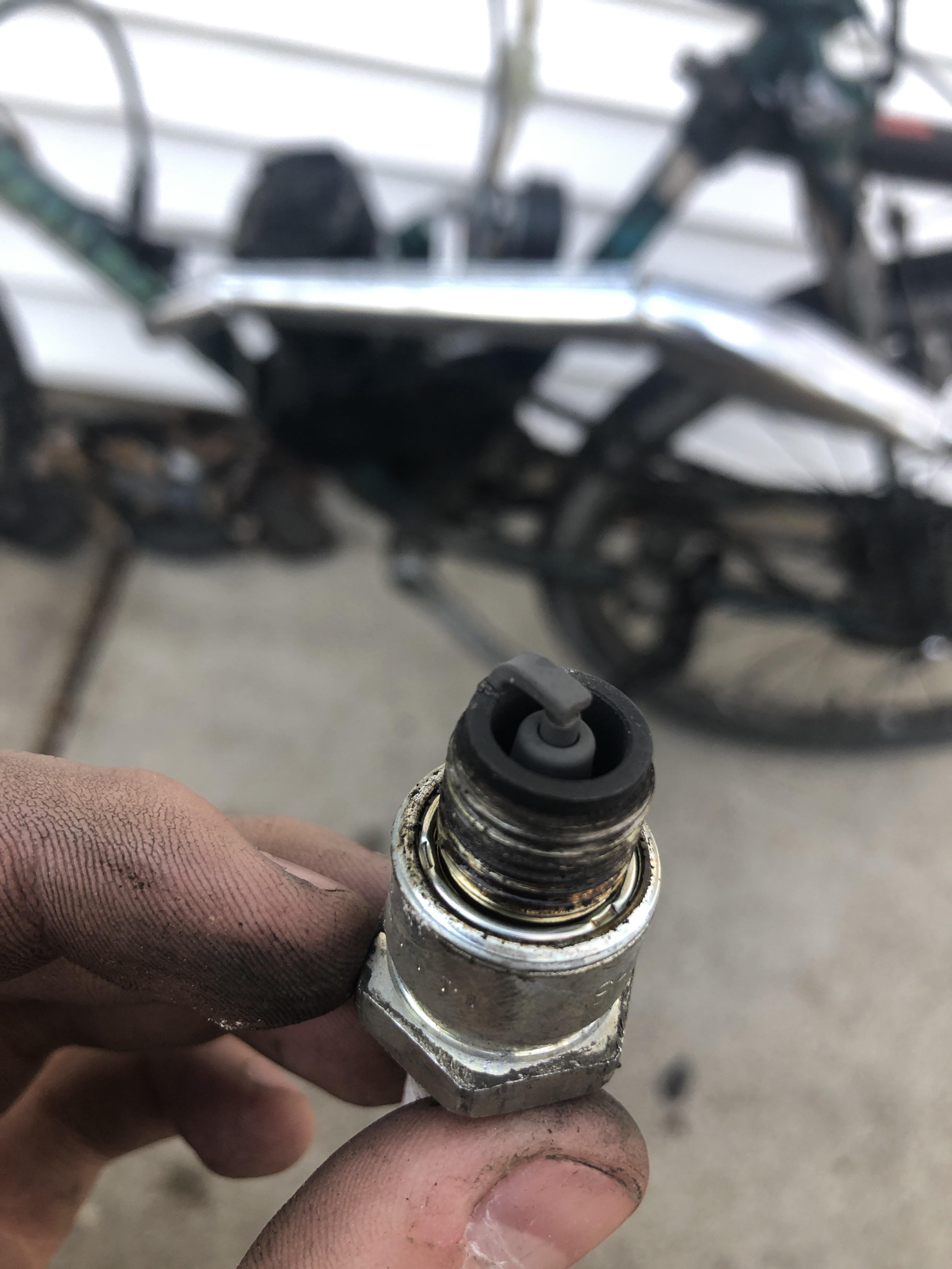 Is my spark plug look good? (Show any signs of rich or lean engine