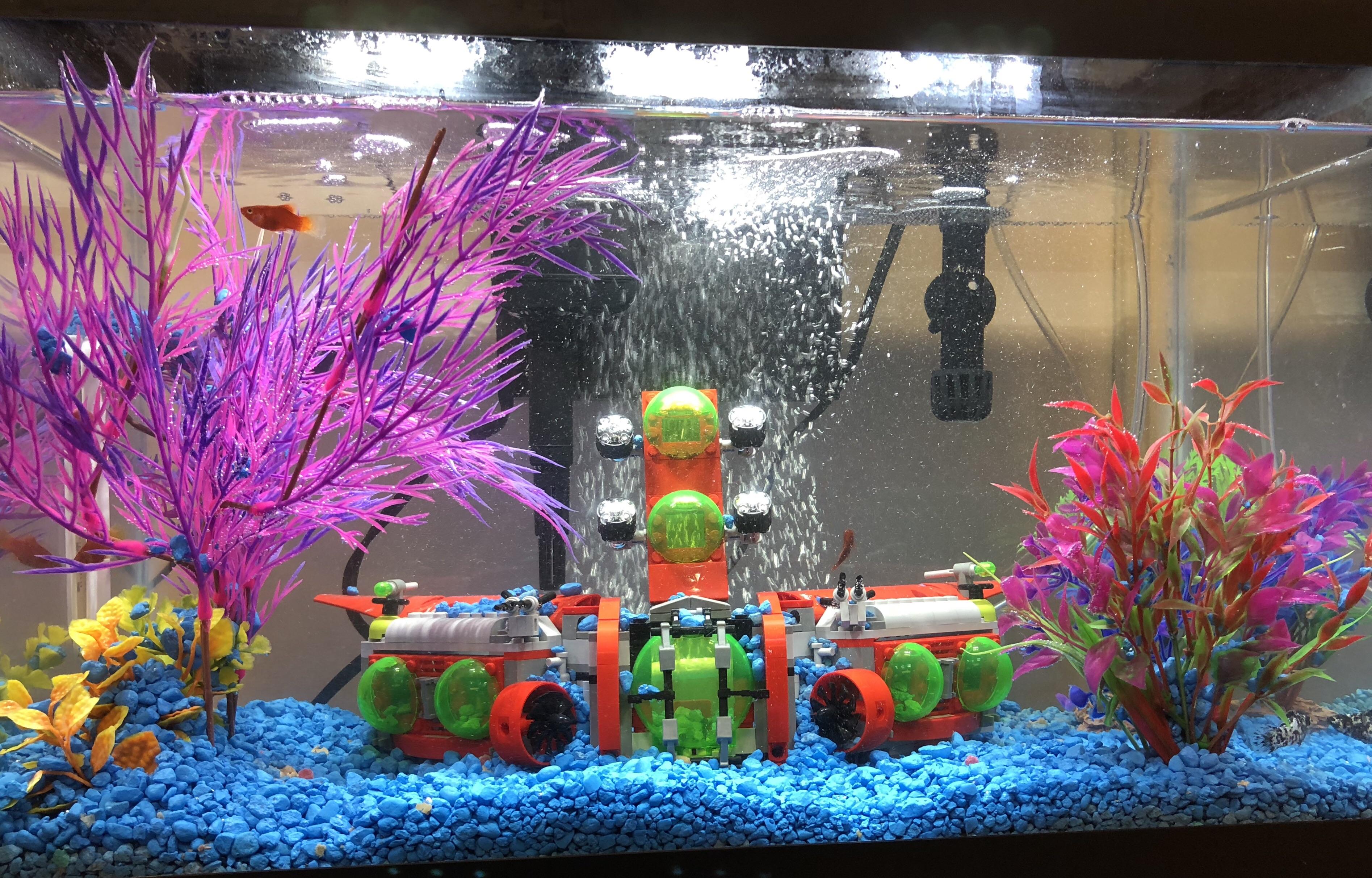 My new fish tank, thought you guys might appreciate it 8077 r/lego