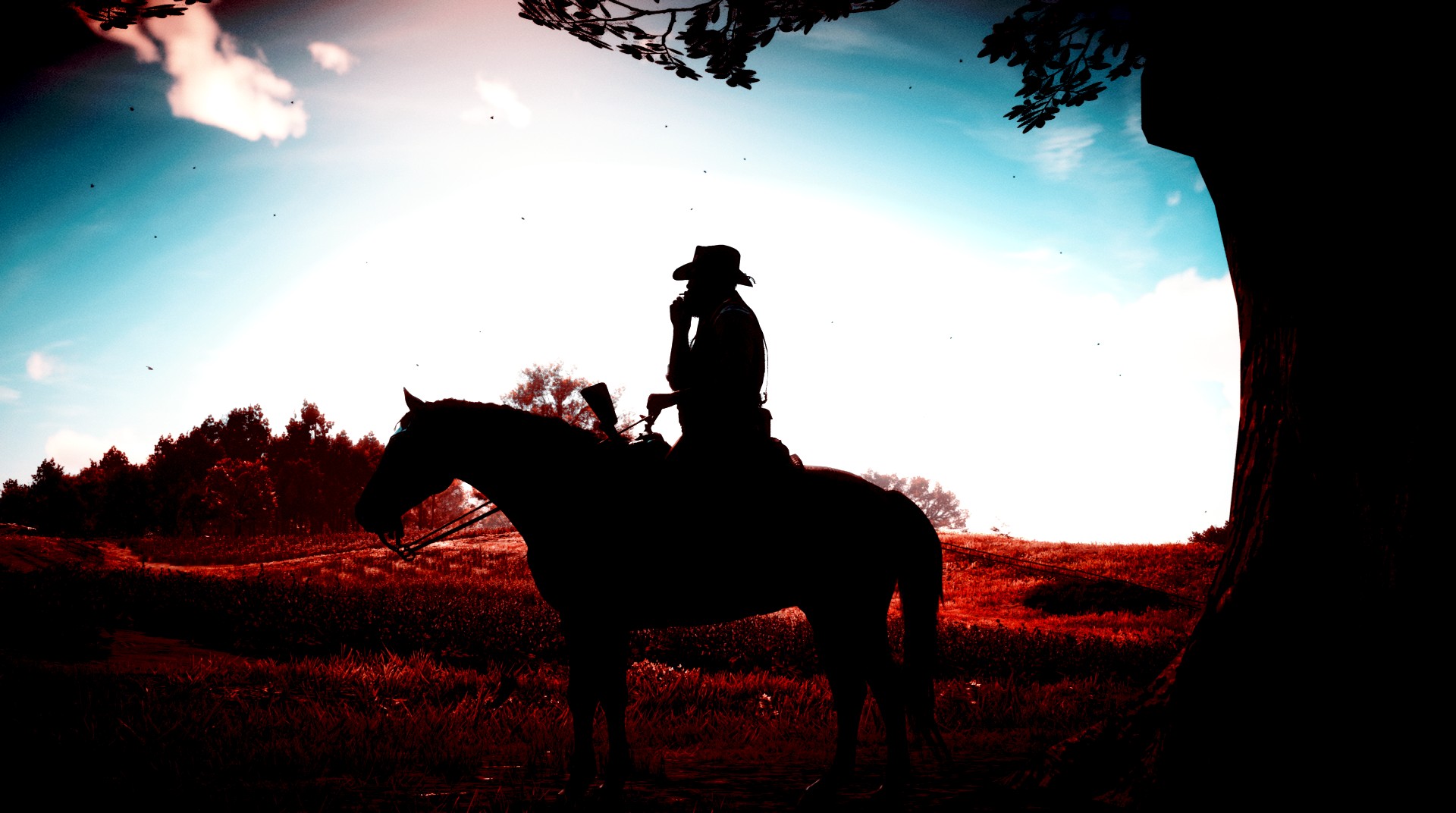 Five O'clock Shadow r/RDRPhotography