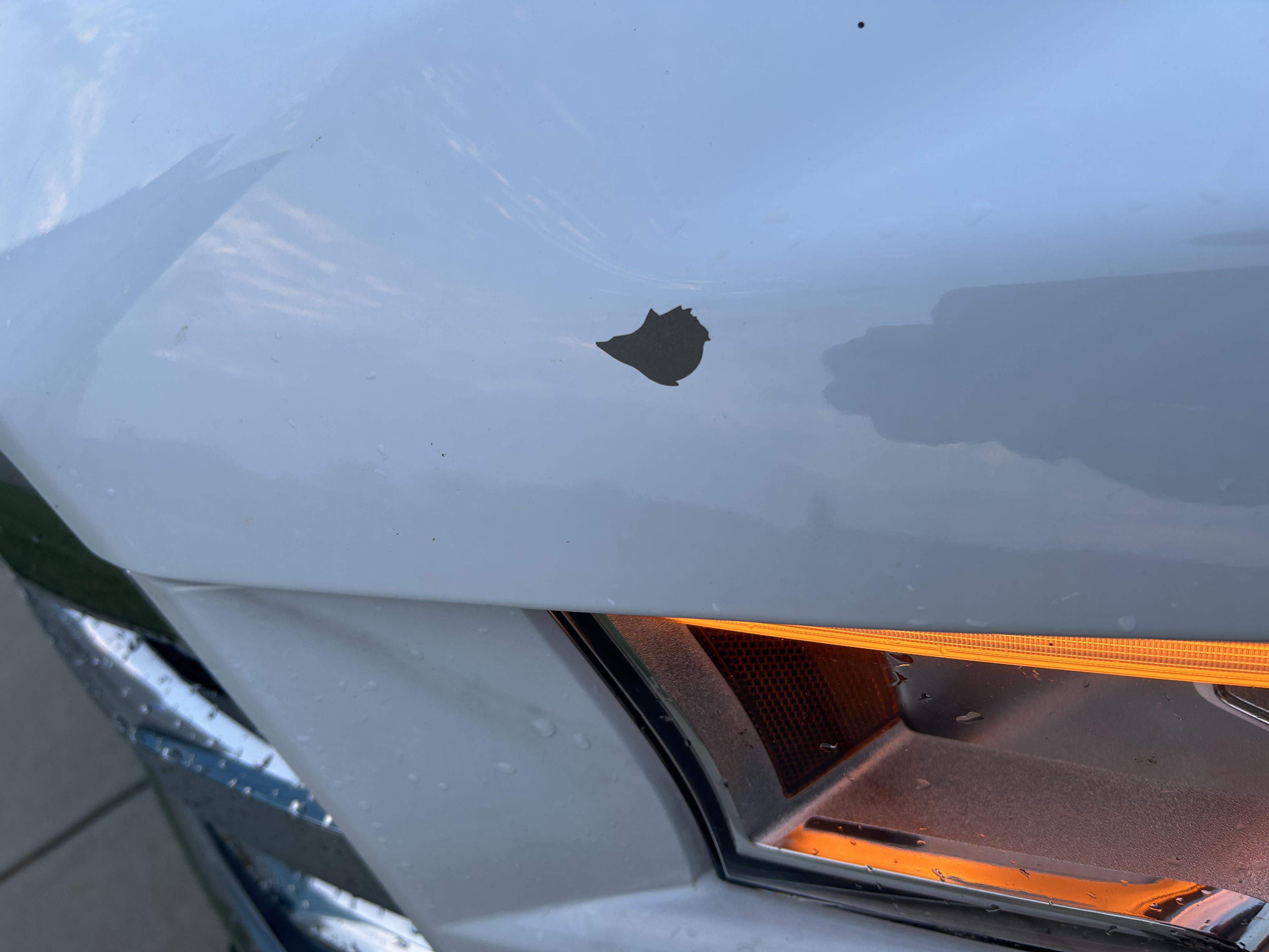 Paint flaked off at do it yourself car wash r/f150