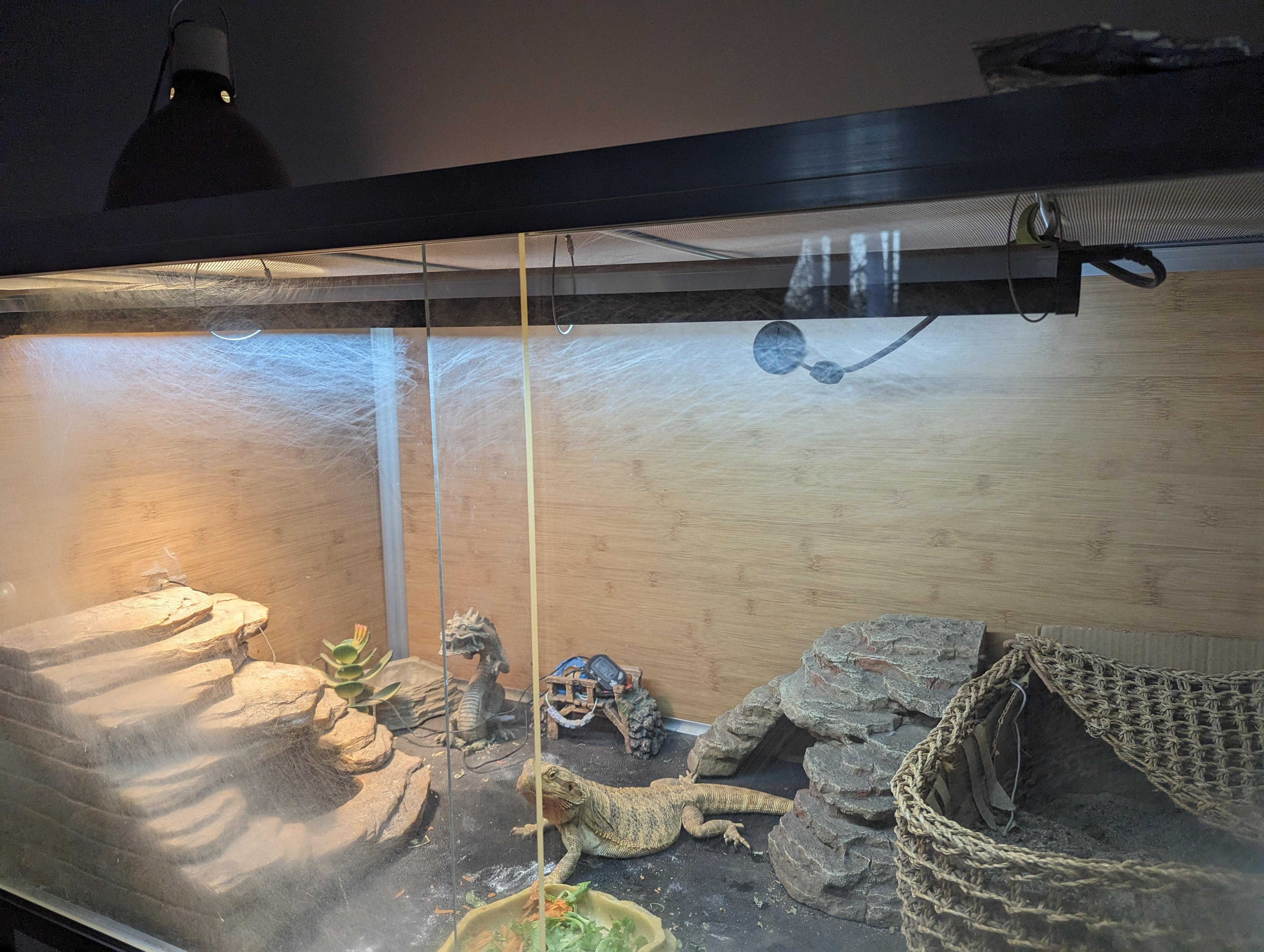 How do I remove the scratches on plexiglass (acrylic) due to my bearded