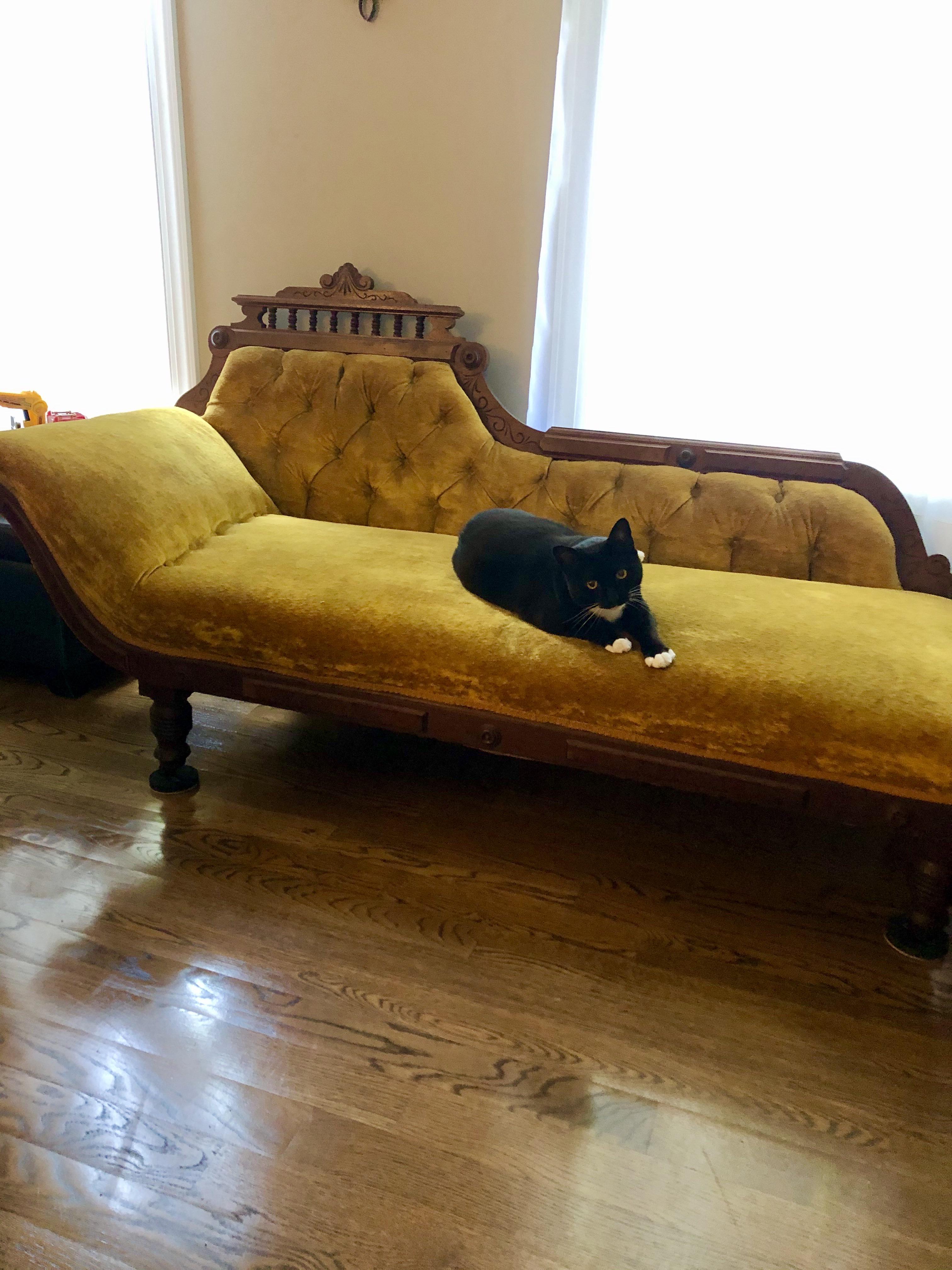 I’m moving into my first house and snagged this couch off FB