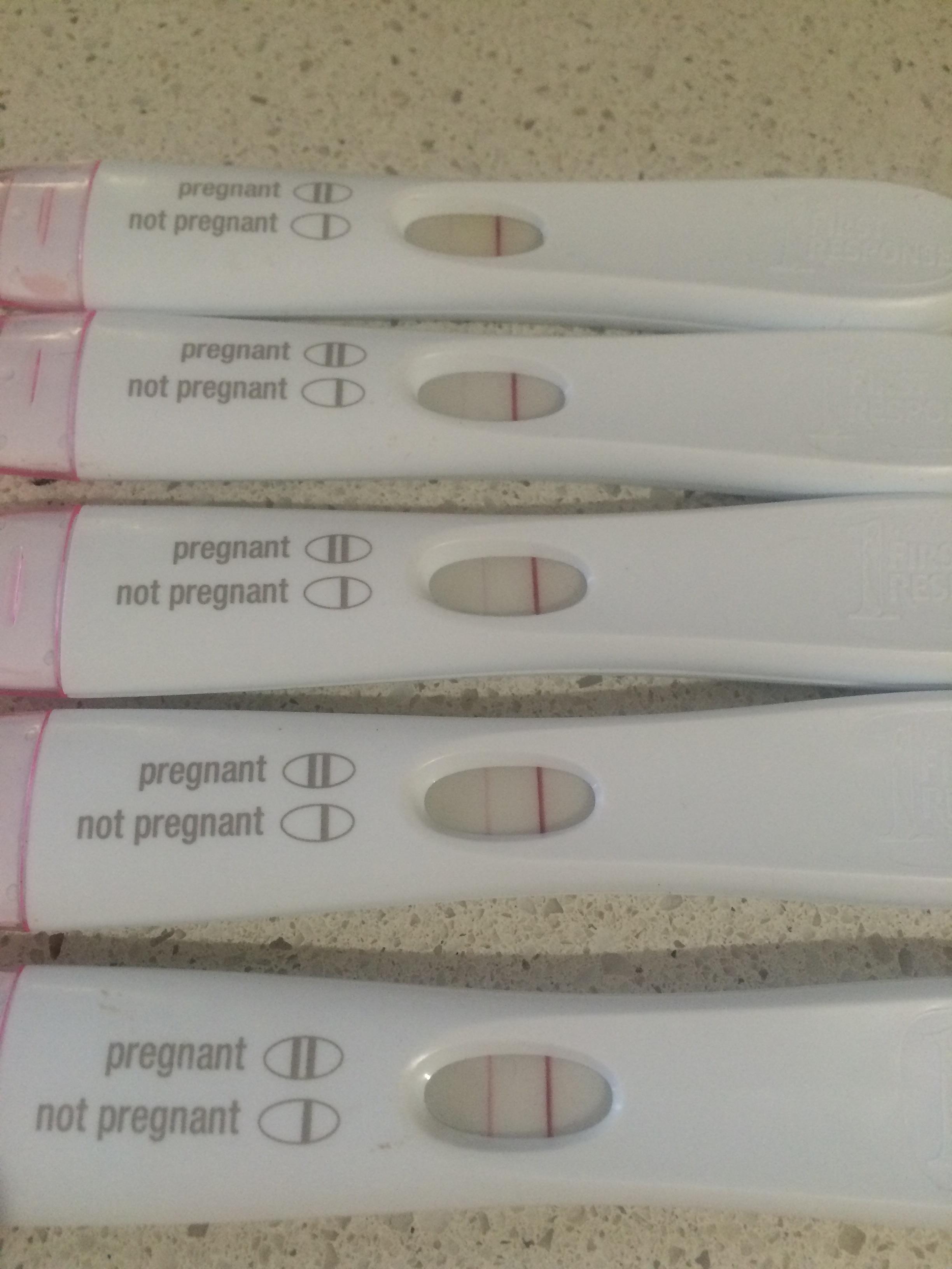 Pregnancy Test Progression Photos Pregnancy Symptoms