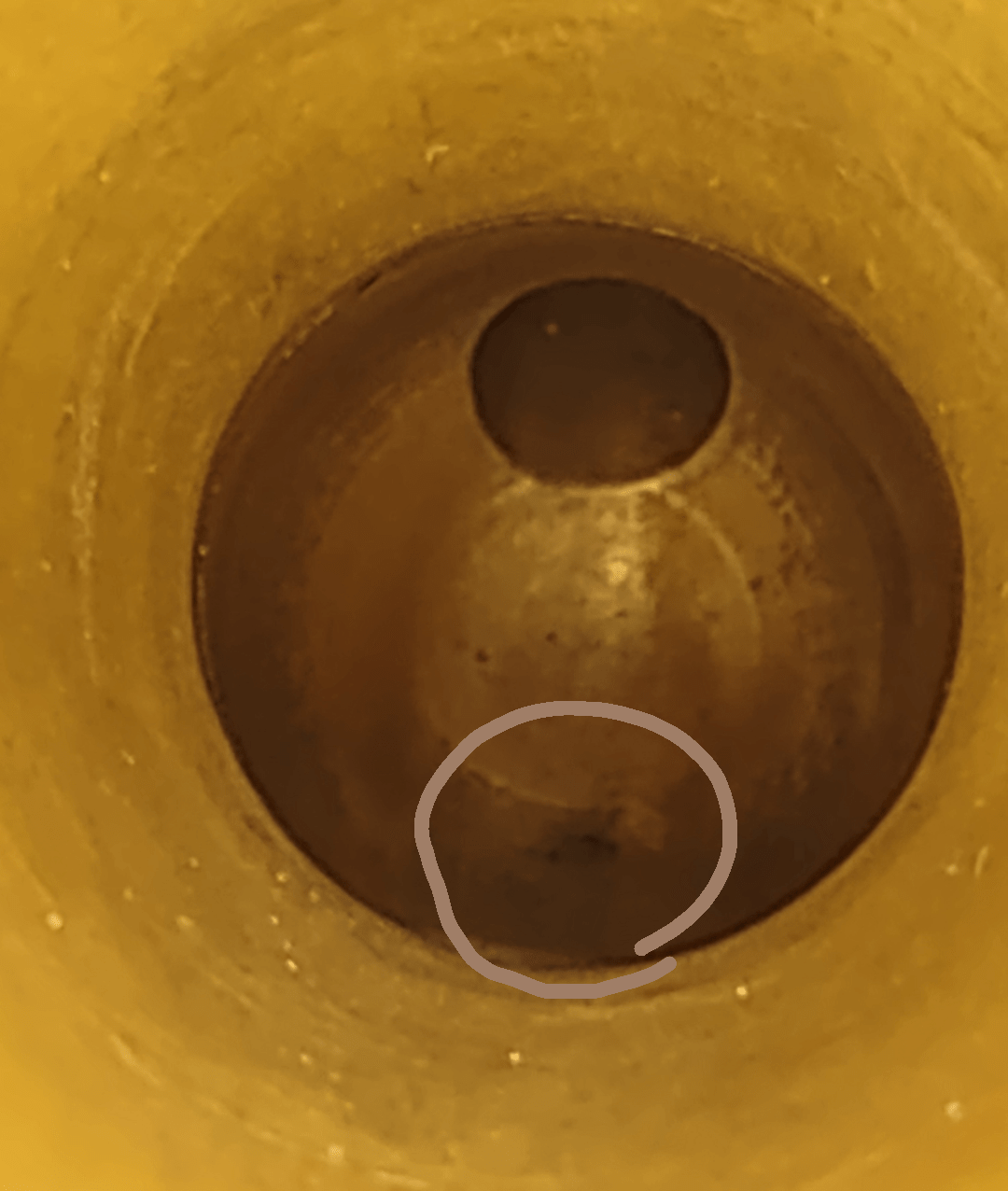 Bubbles in the cup this time r/airbrush