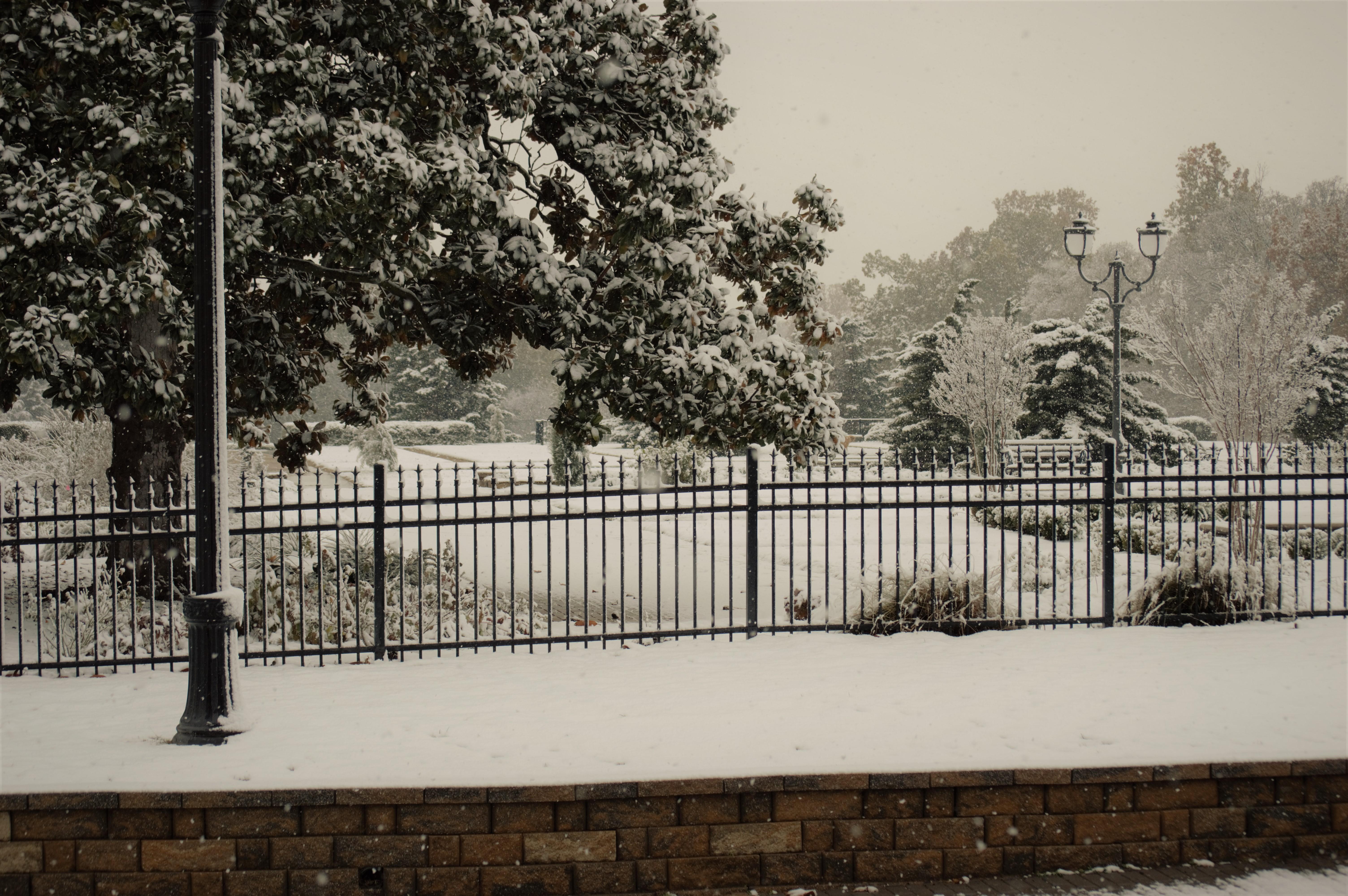 Woodward park today! r/tulsa