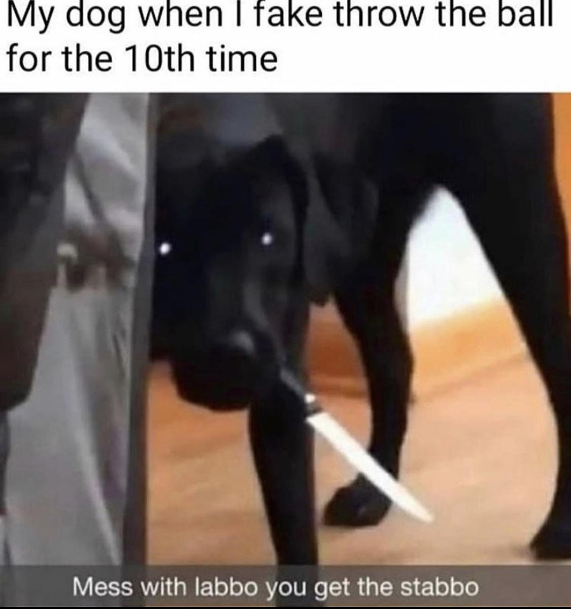 That was in my room last night, now I’m missing my pp r/FellowKids