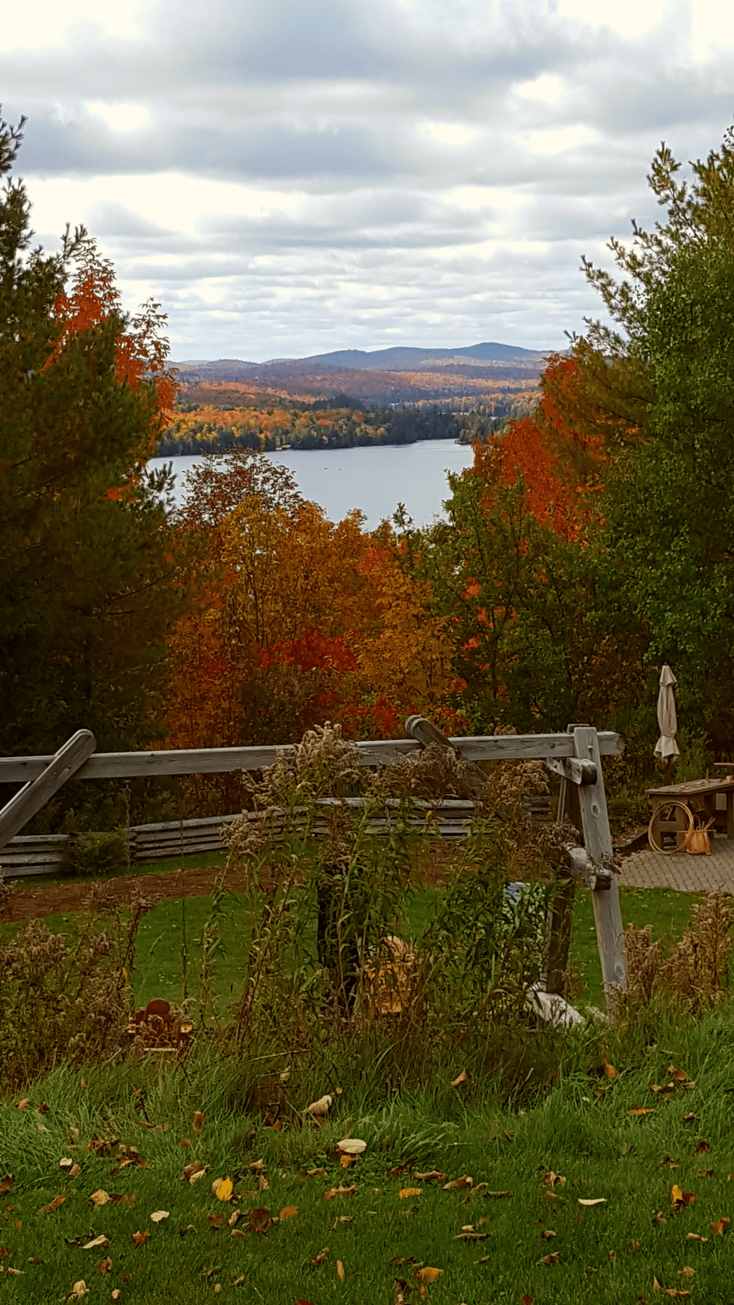 View from Blue Mountain Museum in Blue Mountain Lake, NY [OC][1836x3264