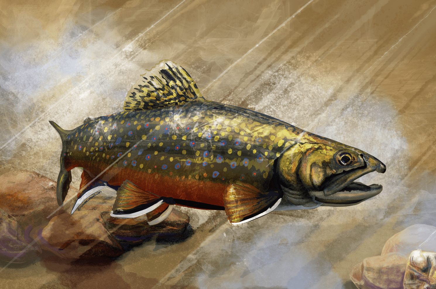 finished up "The Native Brook Trout" Painting thanks everyone for the