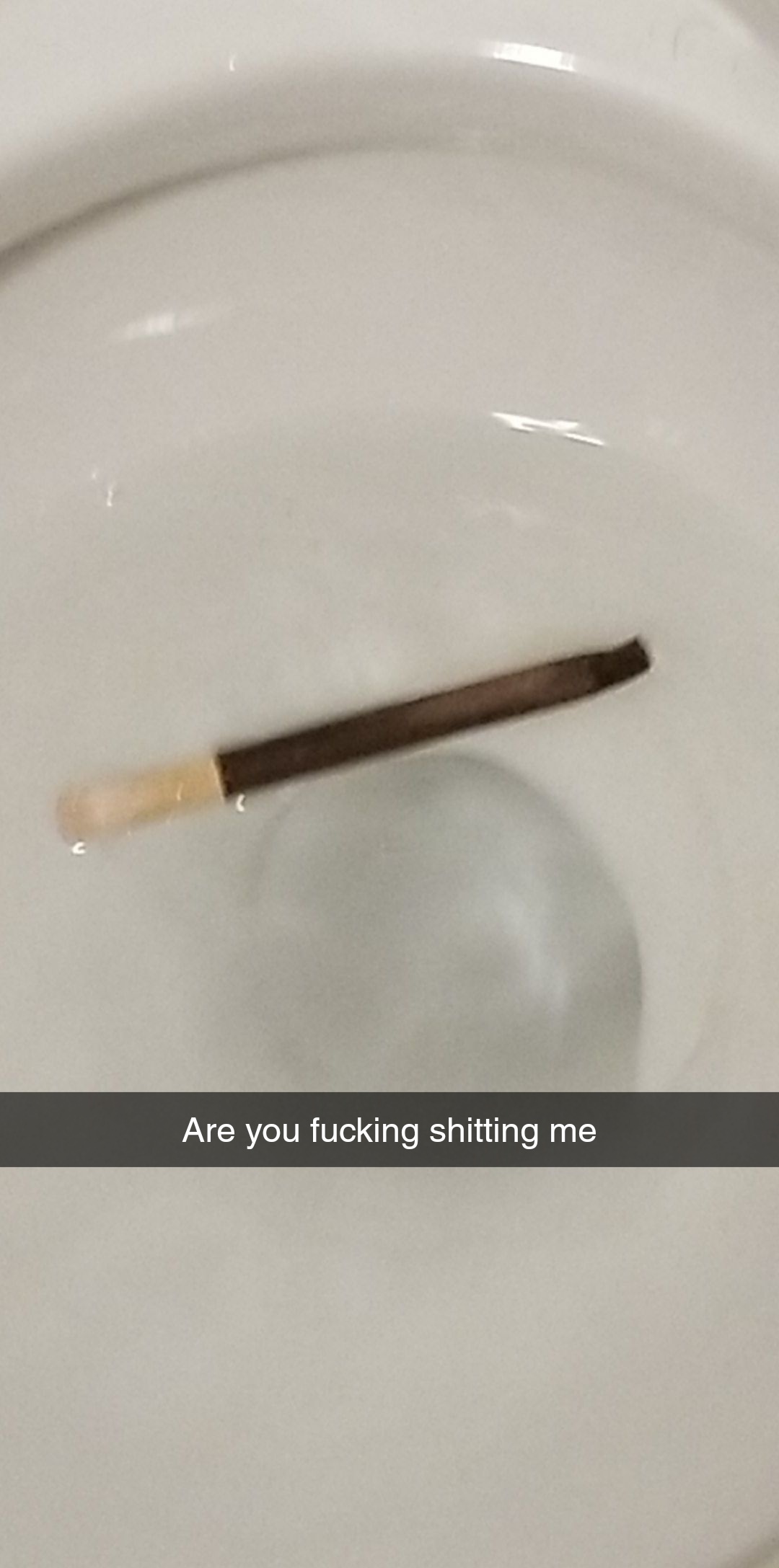 Y'all ever drop your blunt in the toilet? r/trees