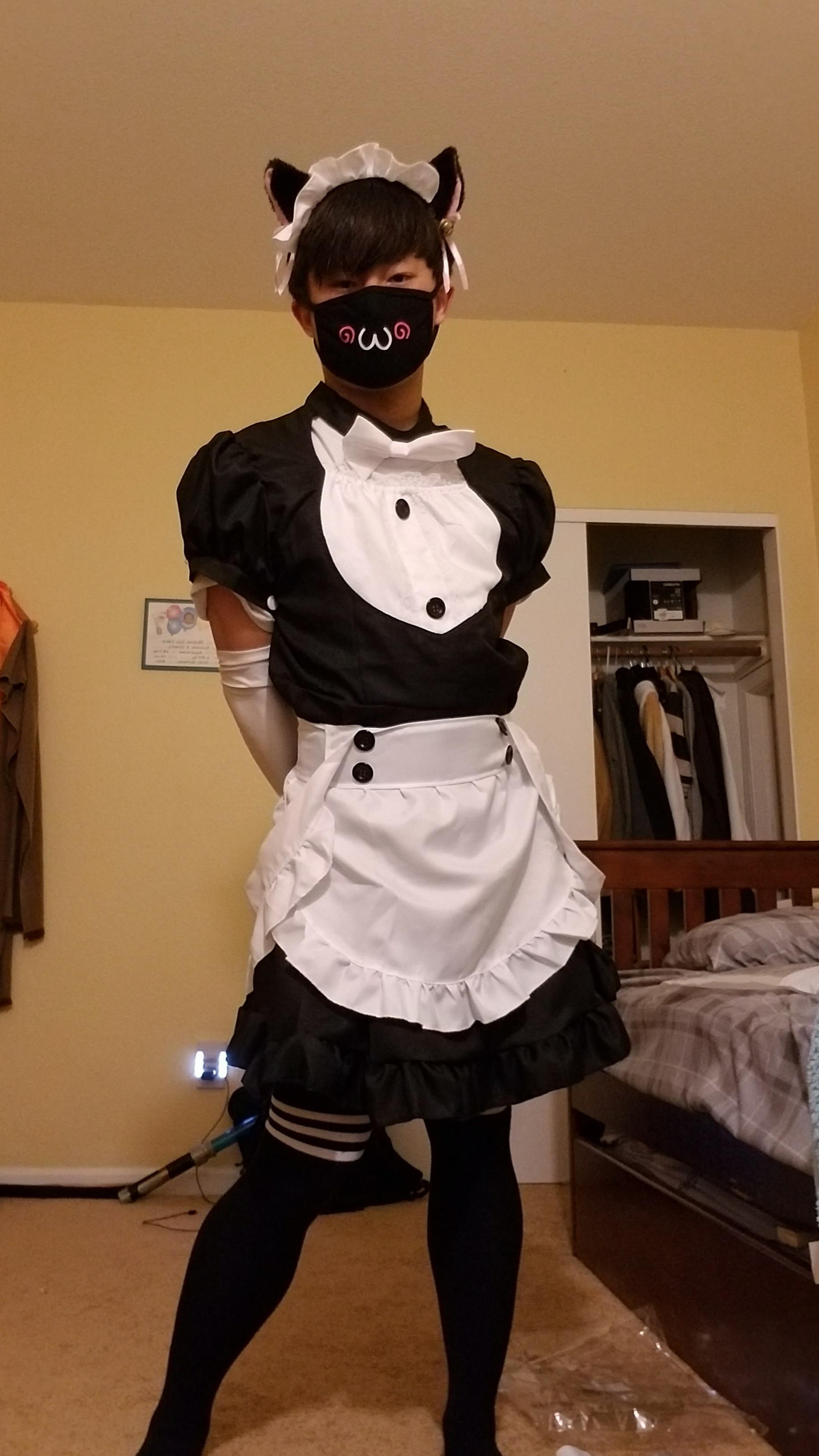 Just another cat maid 3 r/femboy