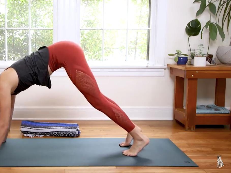 yoga with adriene adidas leggings