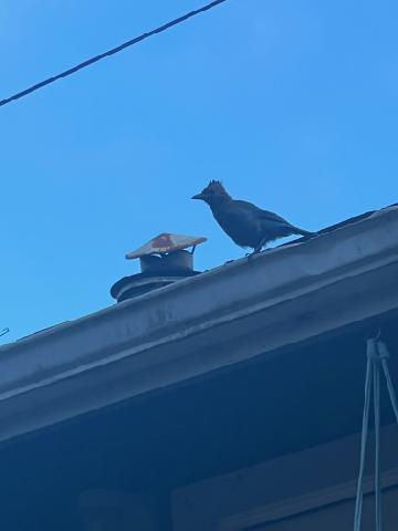 900 best Ex GF images on Pholder | Wholesomegreentext, Aww and