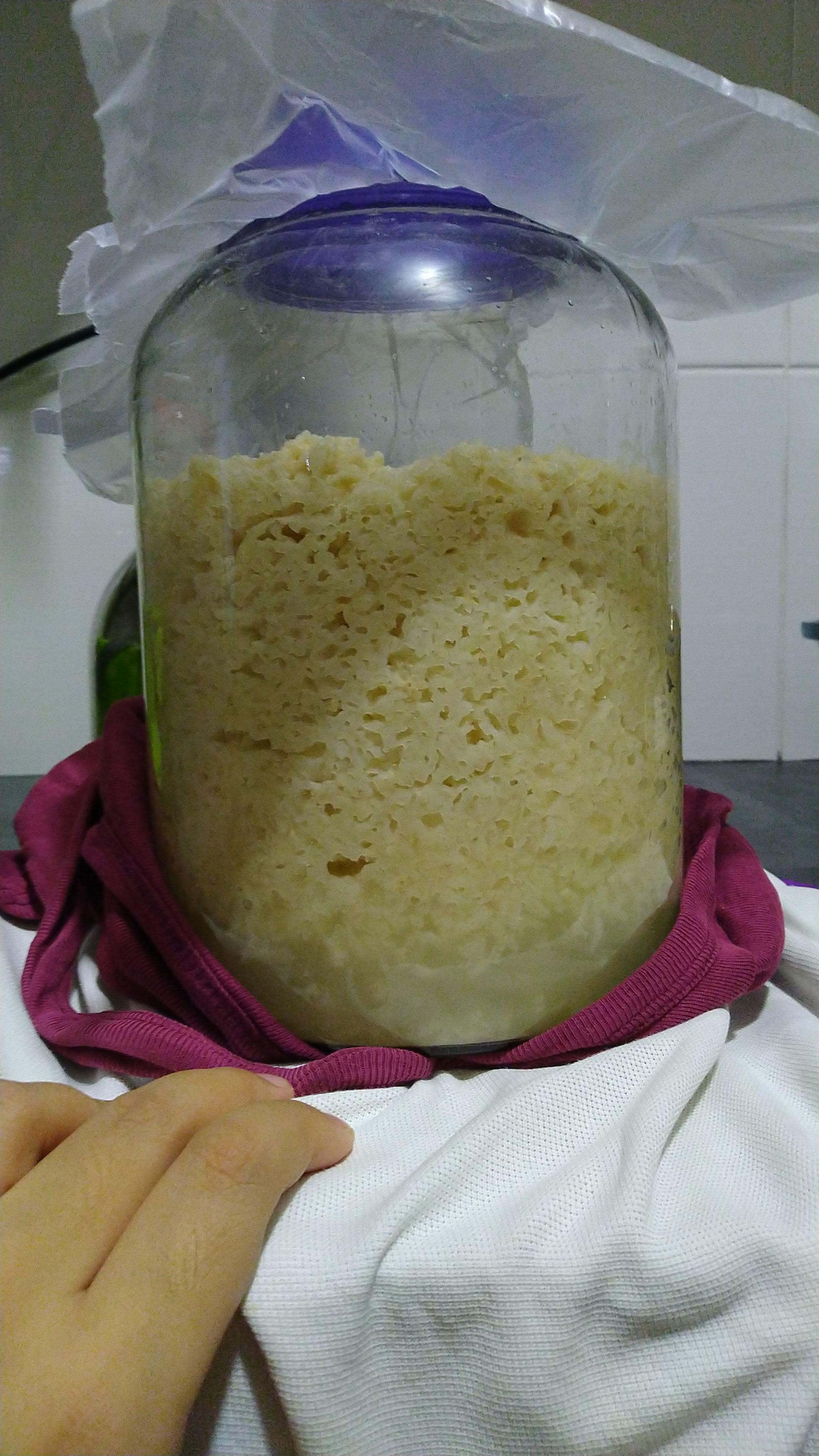Making rice wine using ragi r/fermentation