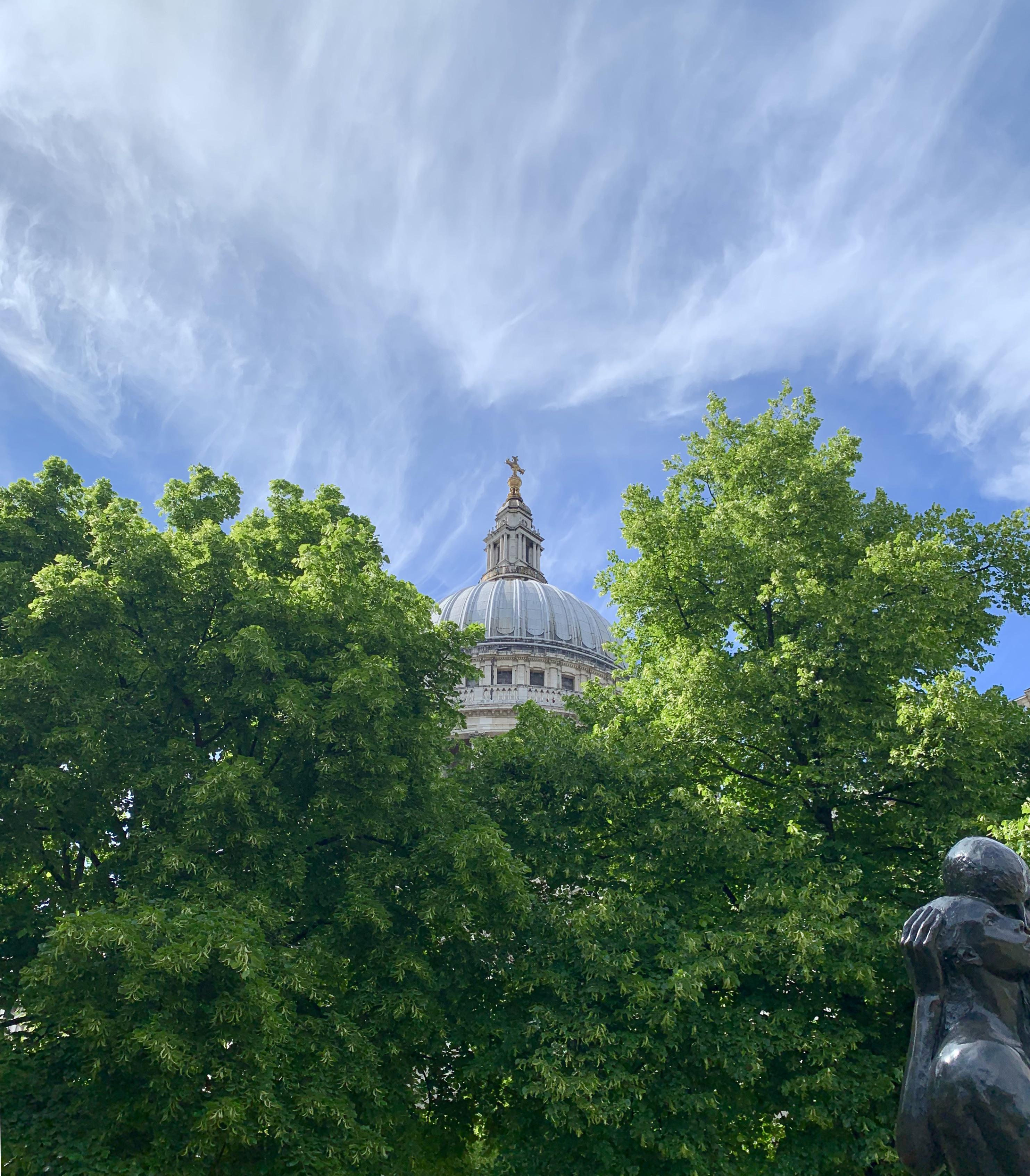 Here’s my fantastically artistic and creative photo of the magnificent