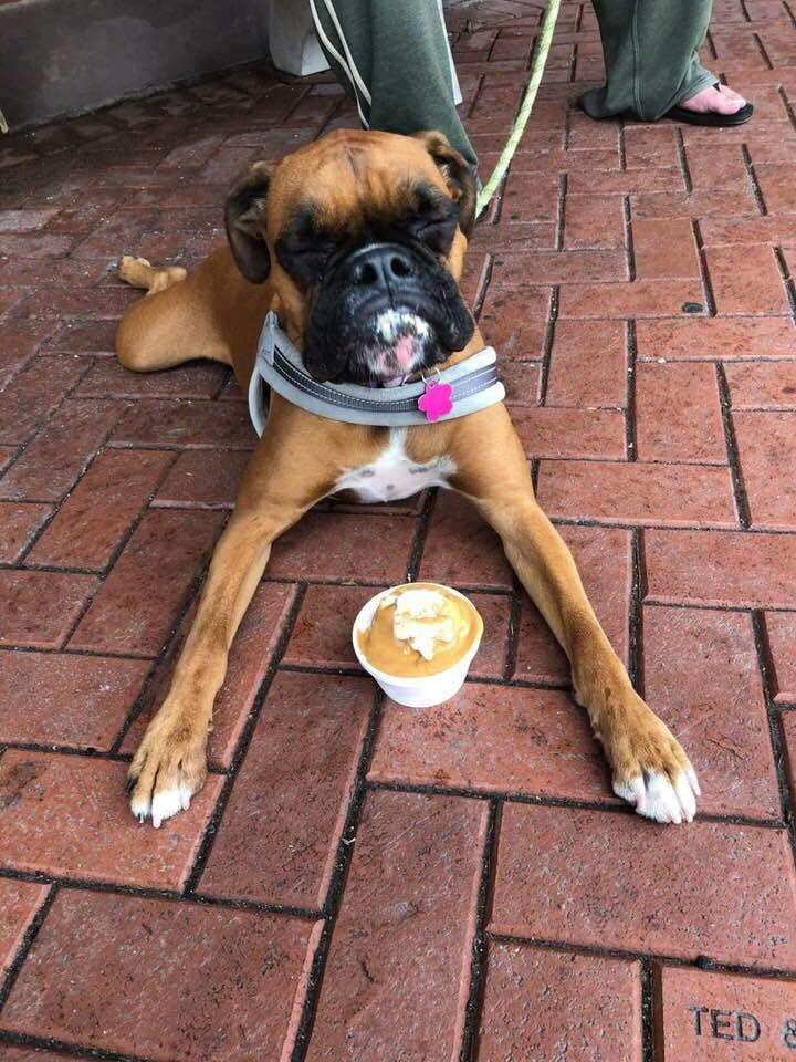 I to post this the other day. She was either in pure bliss