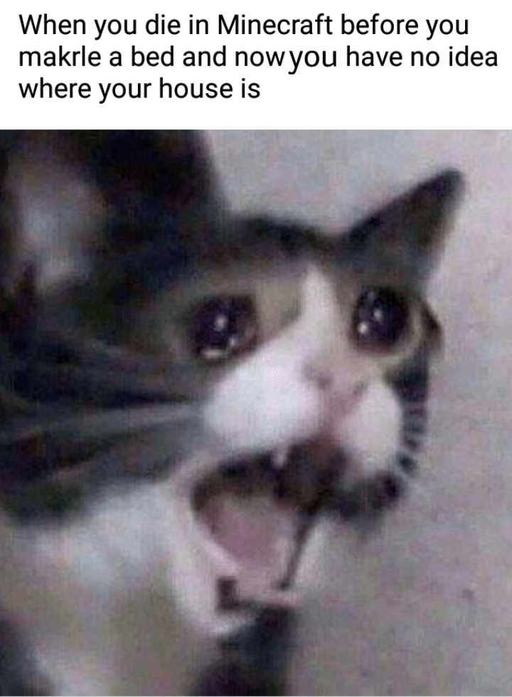 Minecraft Creeper Aww Man Meme