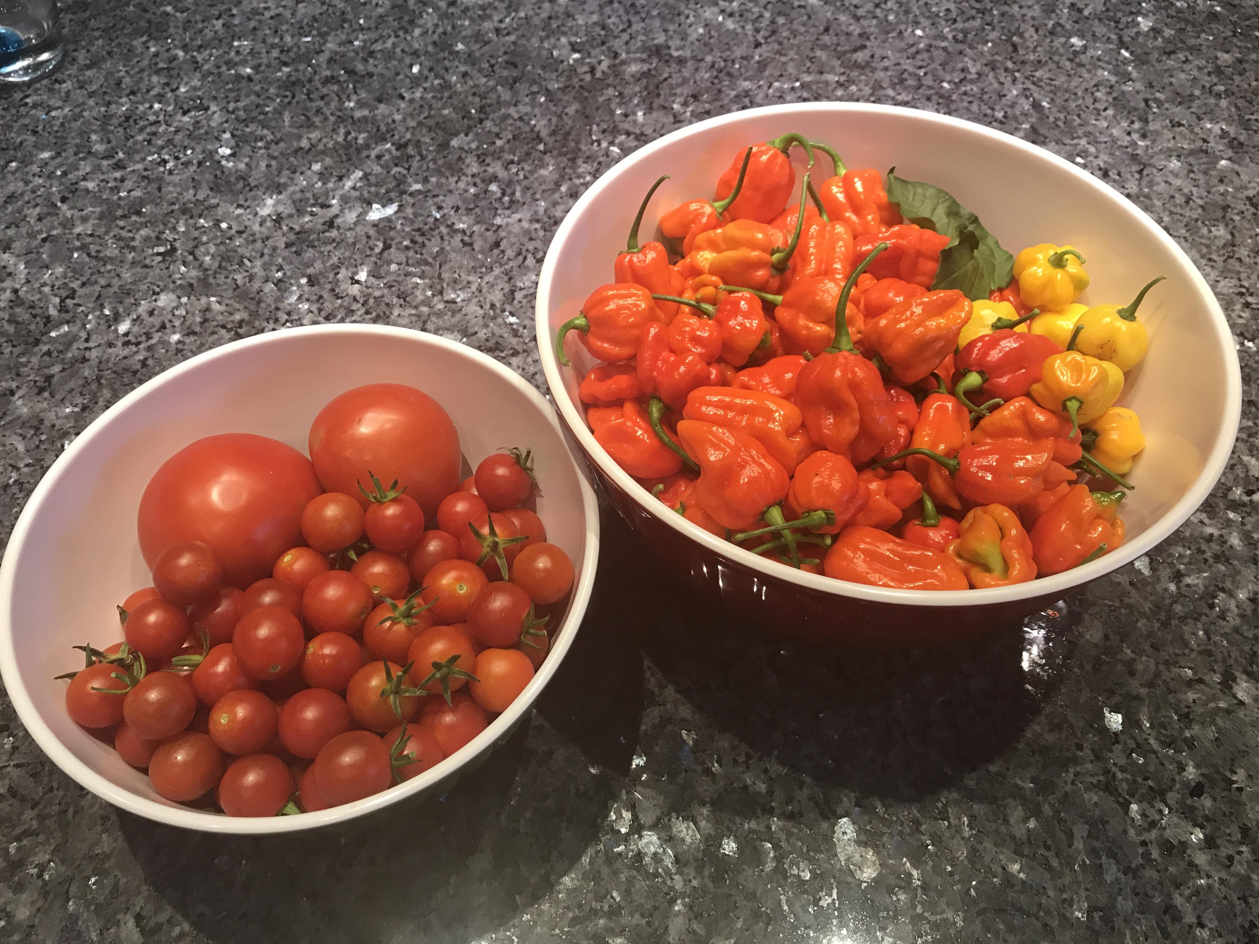 Some colourful tomatoes and peppers from the family garden 😍 r/gardening