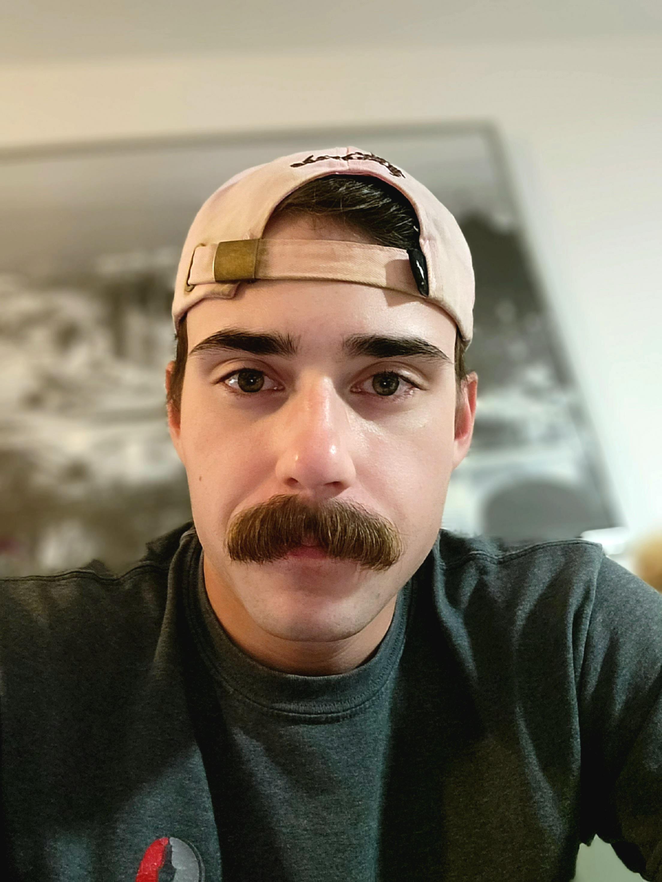 overview for Catalina_onlyfaNs