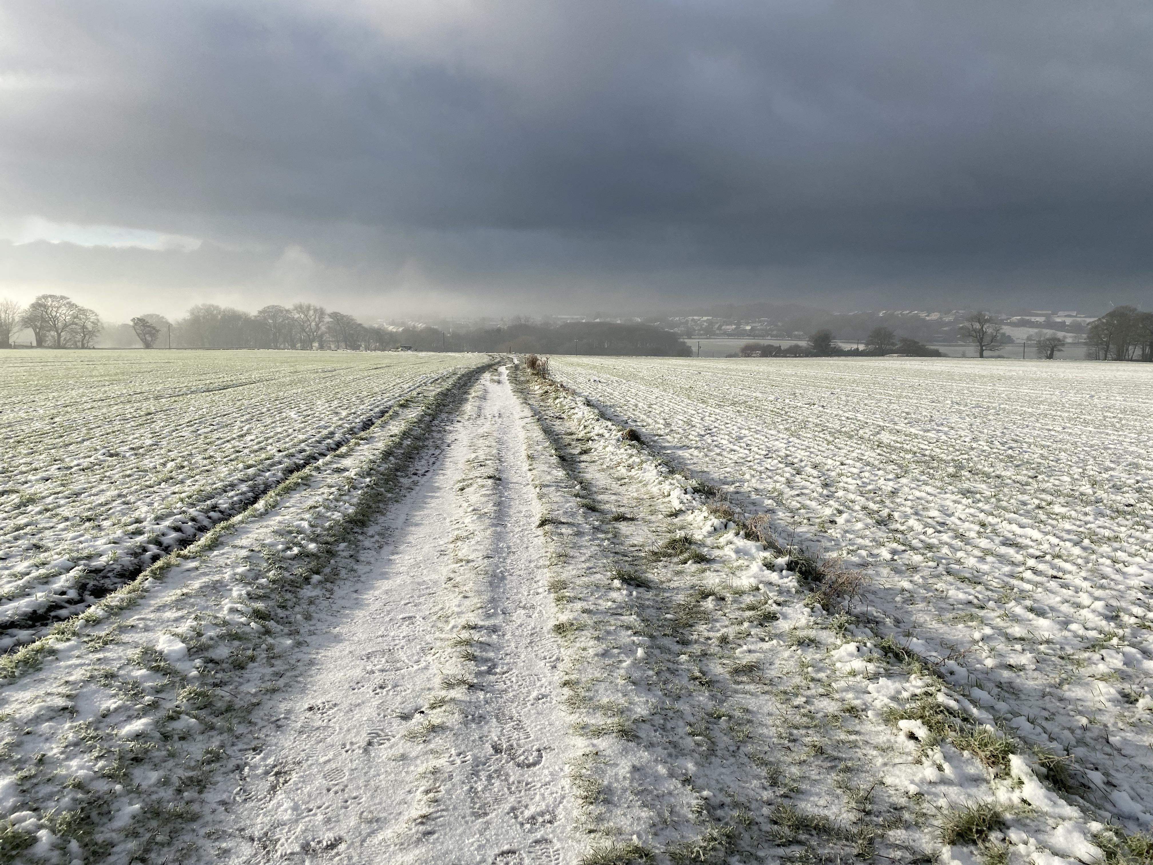 billinge Reddit post and comment search SocialGrep