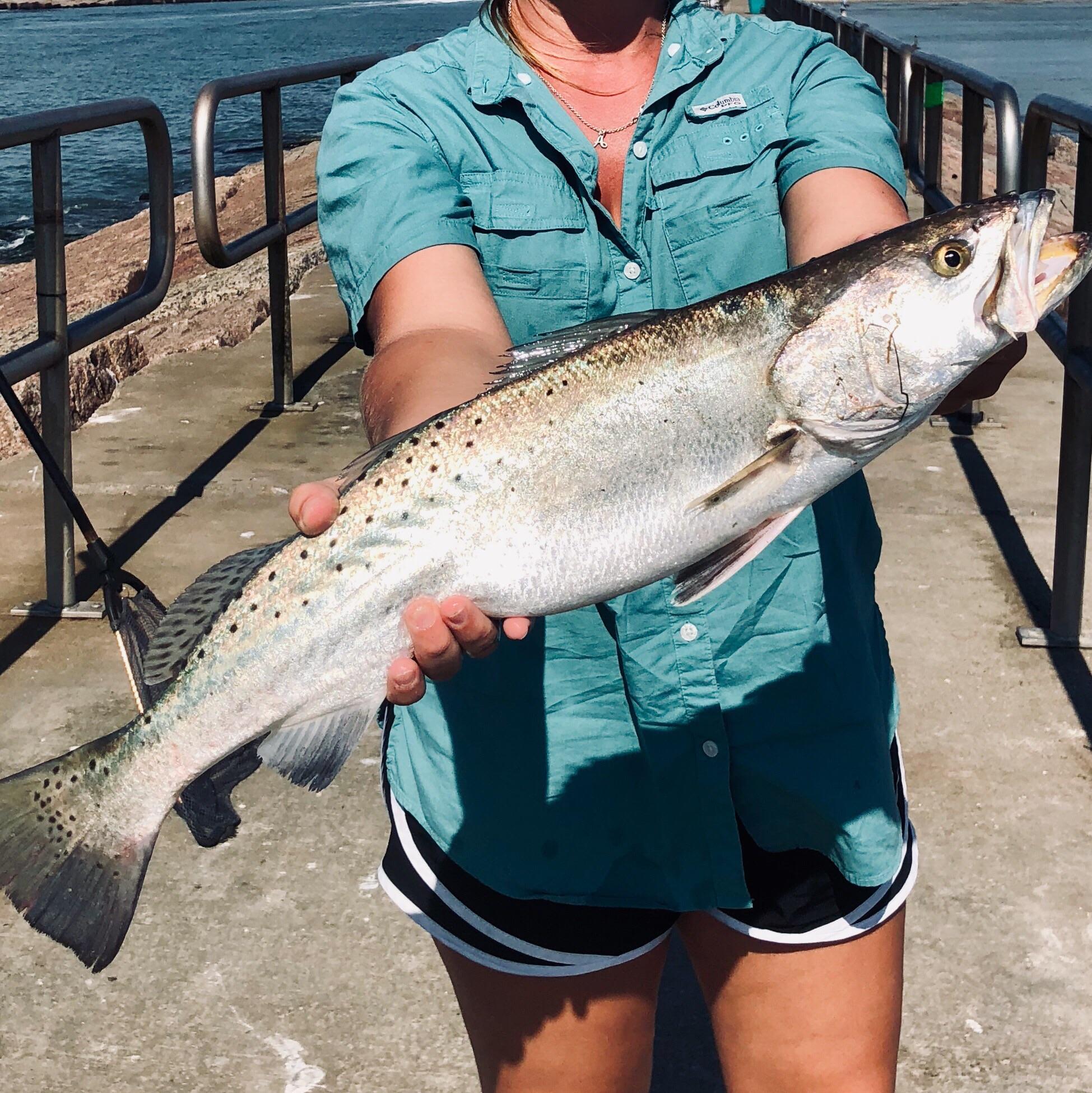 Speckled trout on a jeti in Port Aransas. My PB r/Fishing
