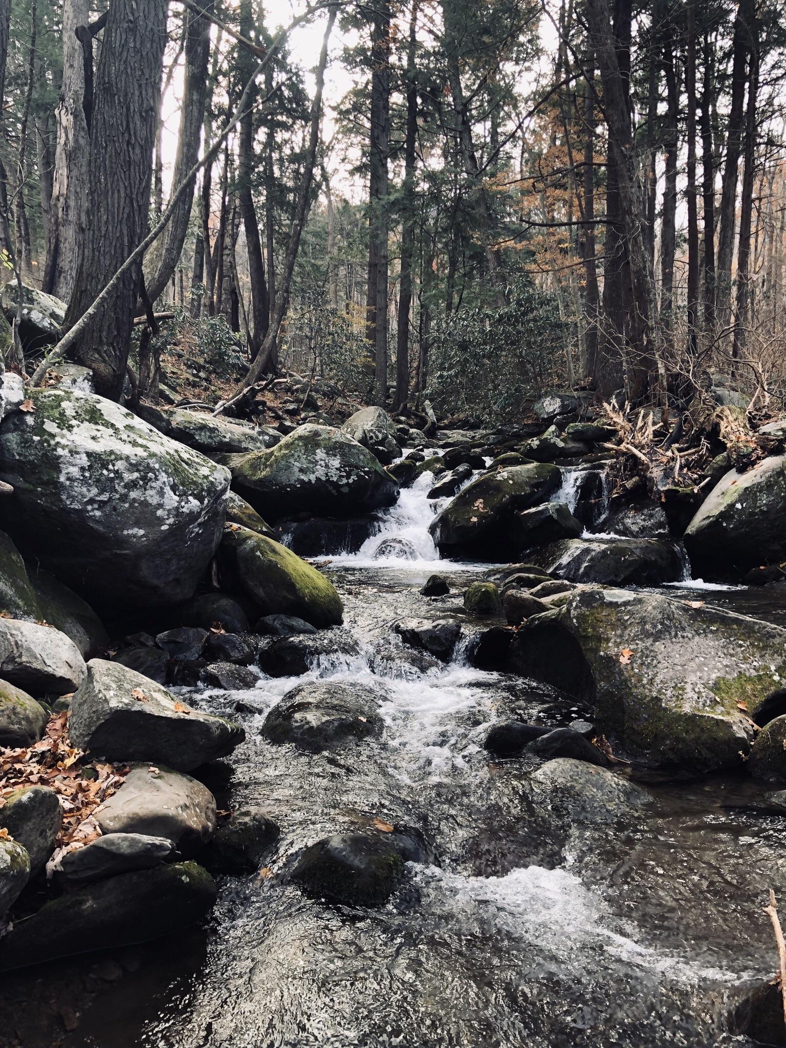 Roaring Fork Motor Nature Trail Gatlinburg, TN Just off trail towards