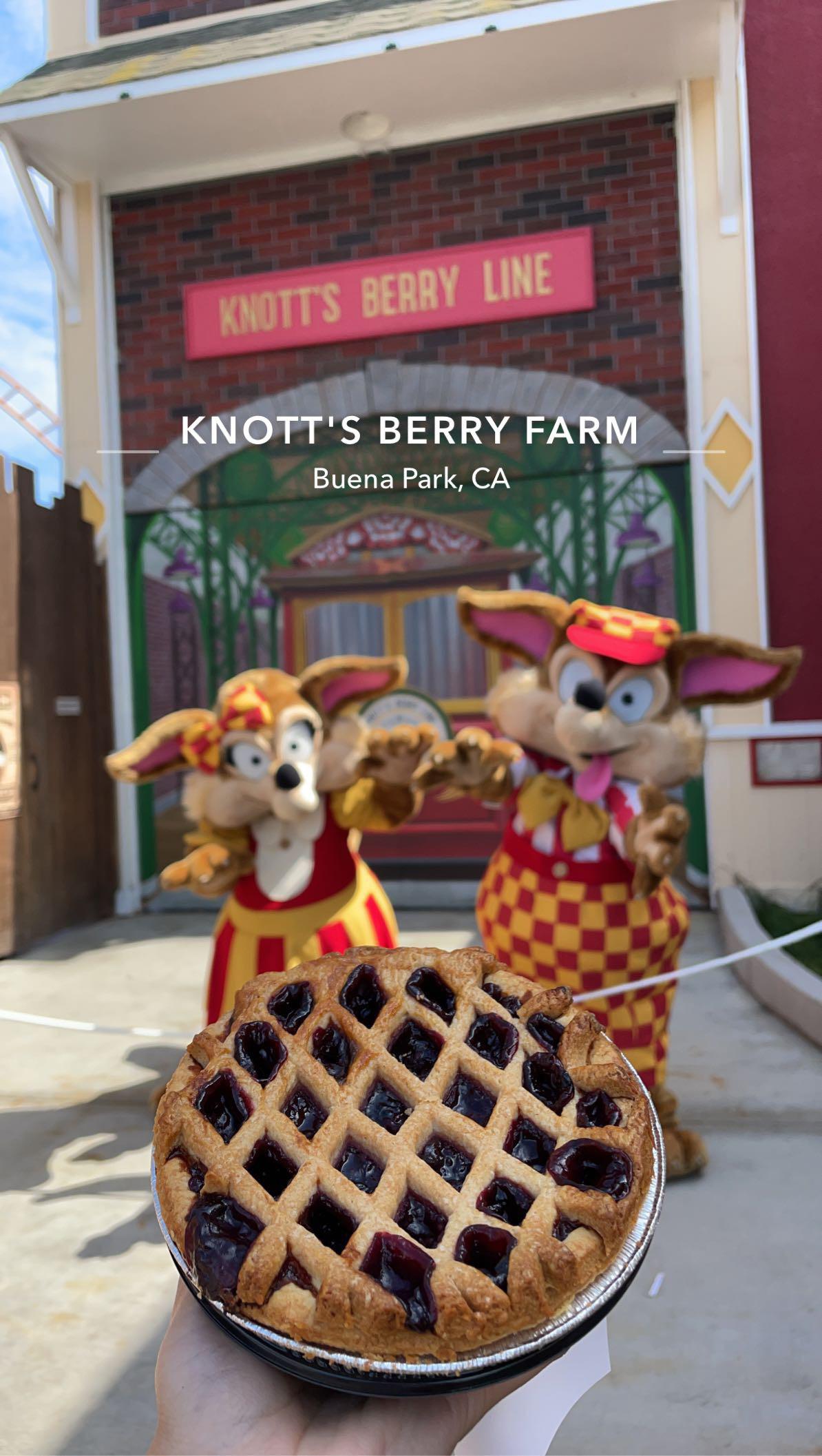 Boysenberry Pie at Knott’s Berry Farm 🥧🍇 r/Baking