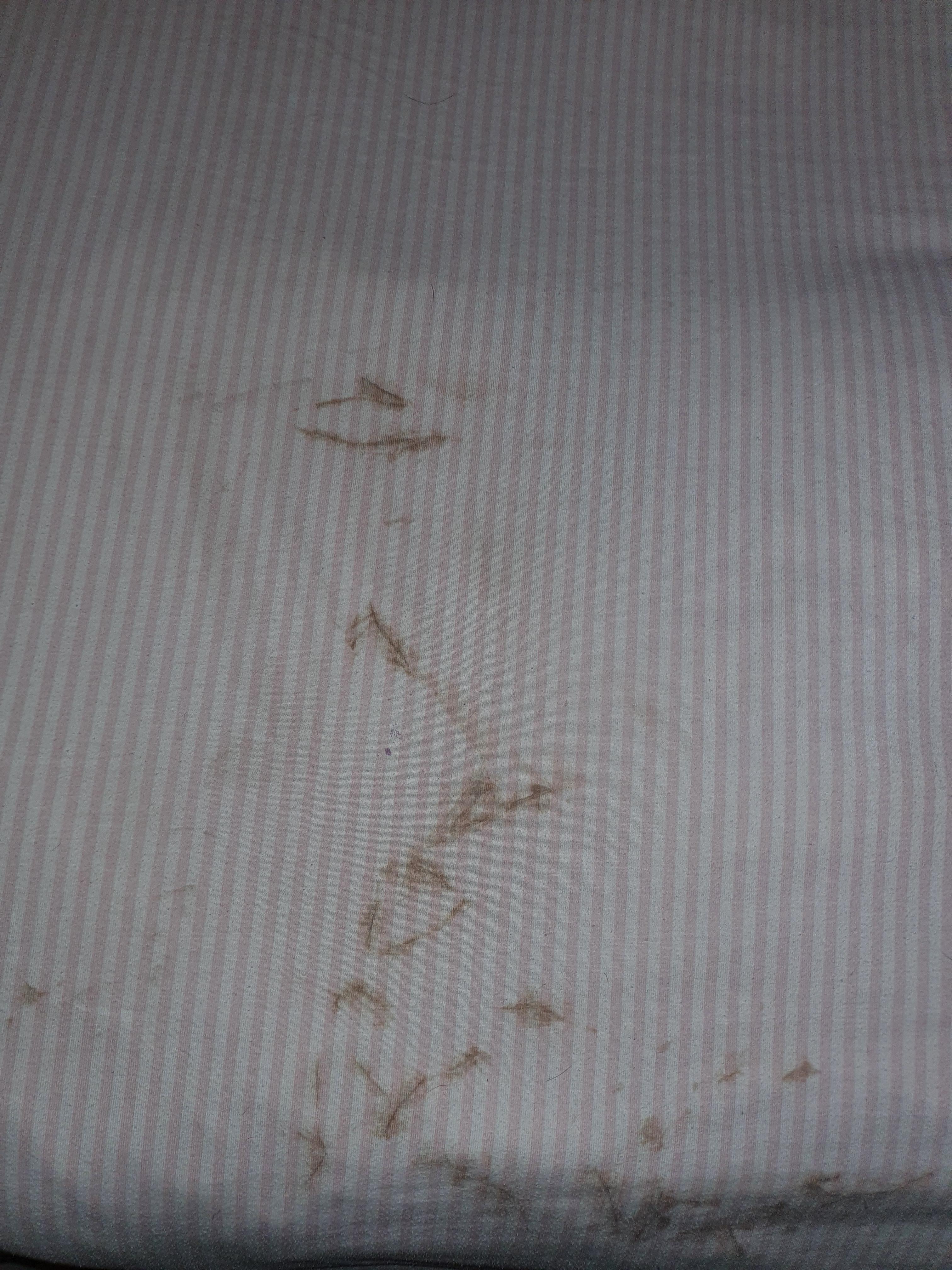 Washing Machine Leaving Brown Stains More Info In Comments r/CleaningTips