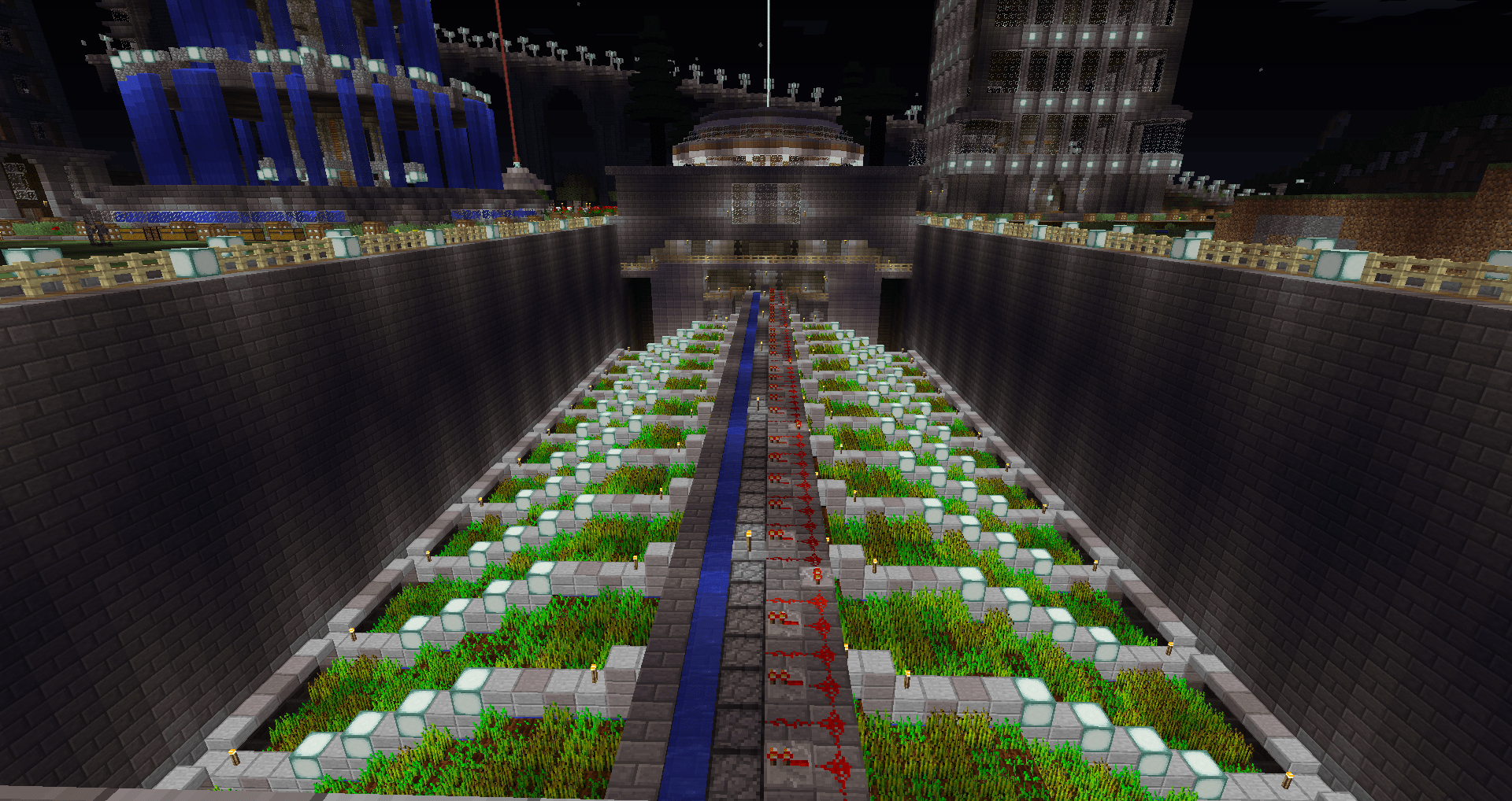 Surprisingly this is 2130 Wheat plants. Yes I replant them by hand