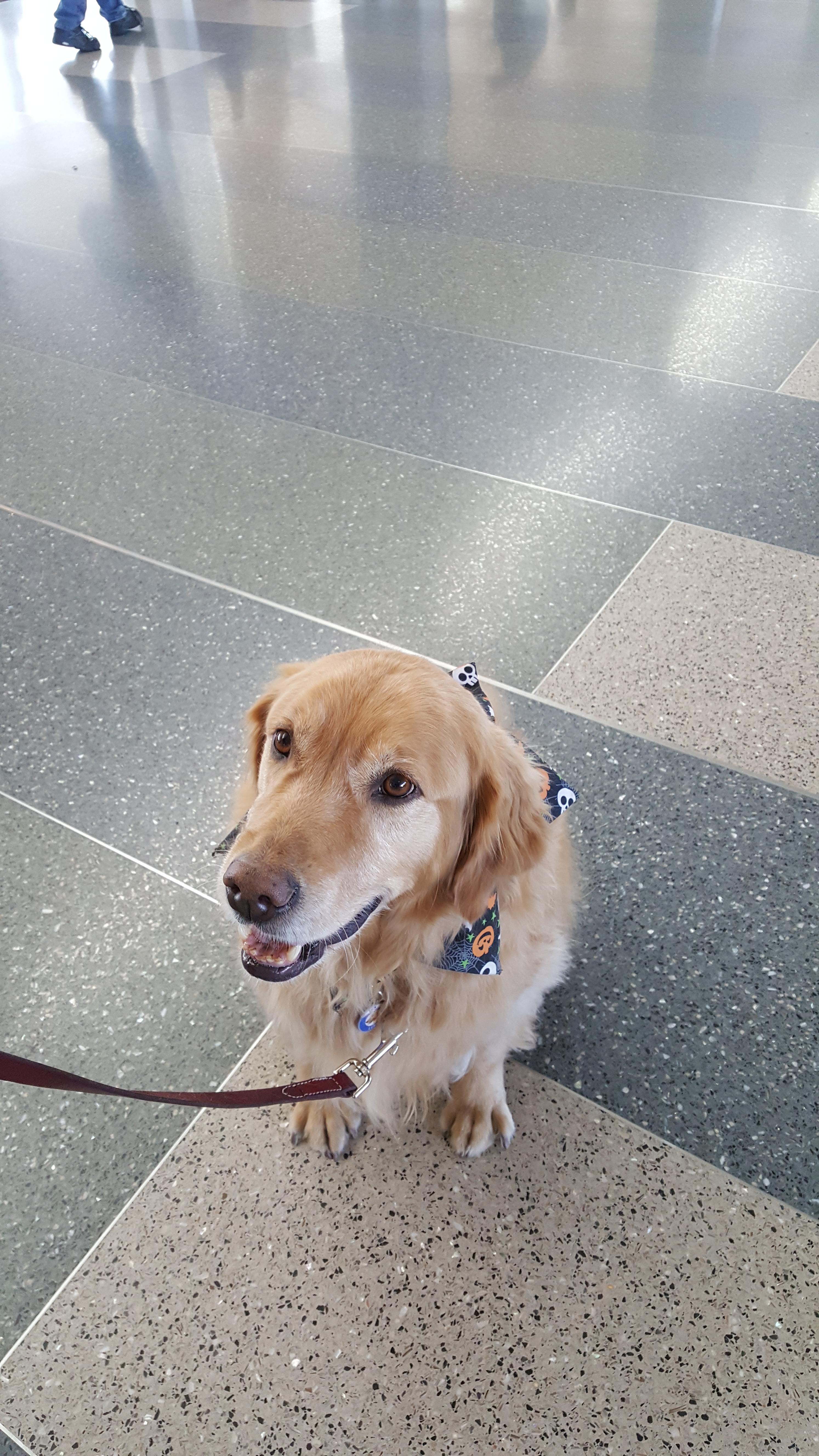 This is Luke. He works at the Sacramento Airport as a boarding anxiety