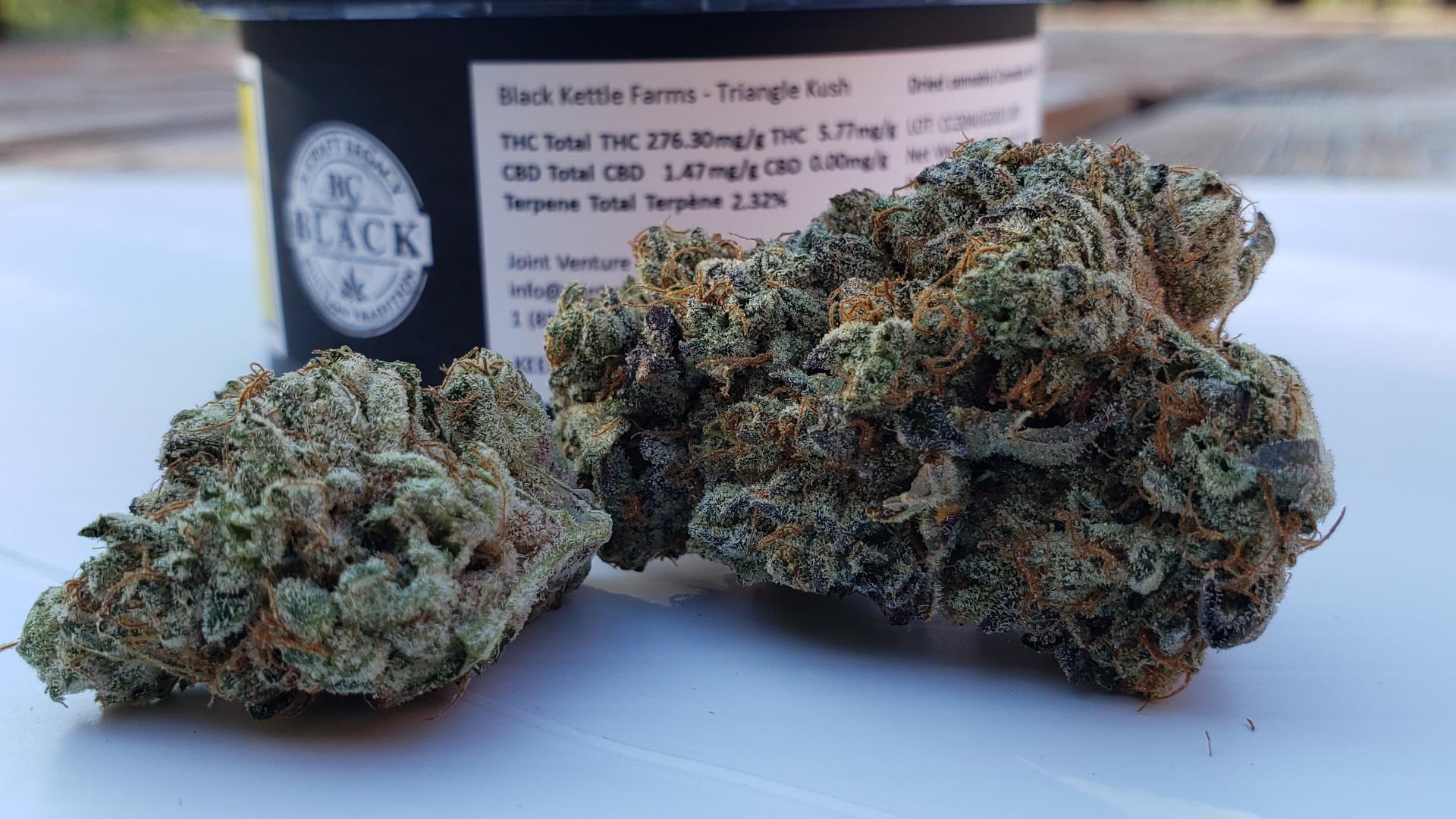 Triangle Kush by Black Kettle Farms r/RecPics