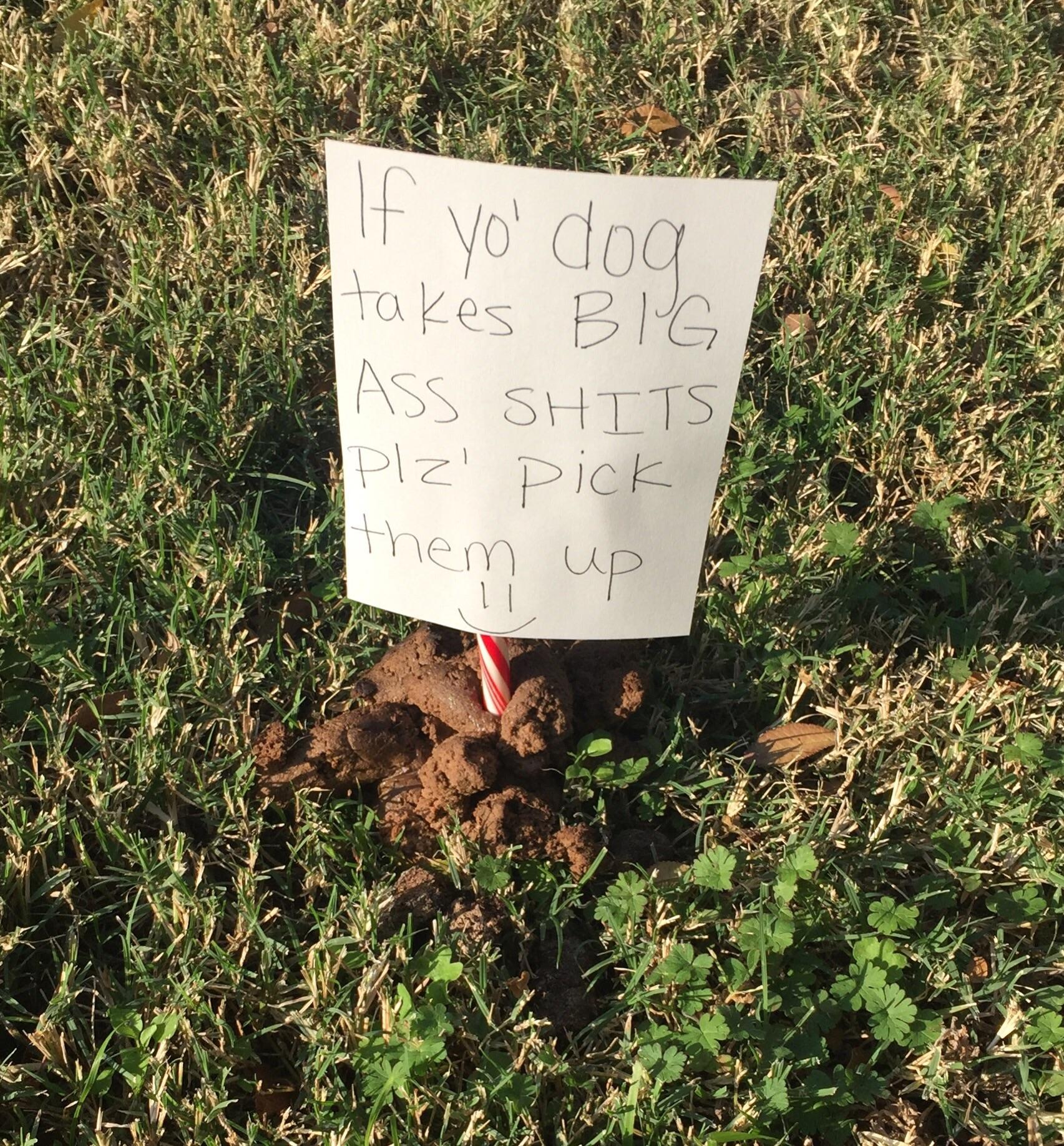 Someone in my apartment complex is tired of seeing dog crap. r/funny