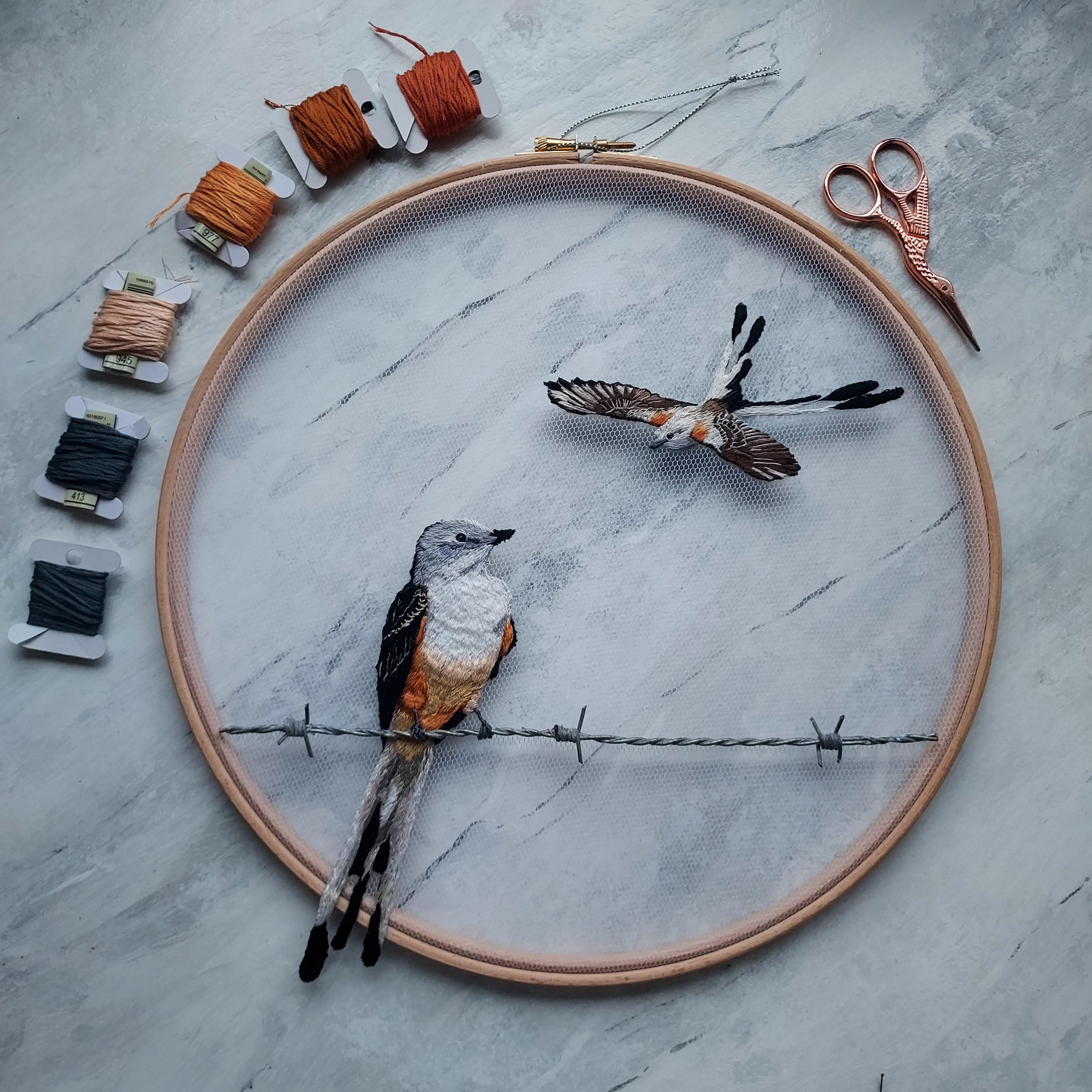 Bird embroidery on tulle featuring barbed wire. 12" hoop r/crafts