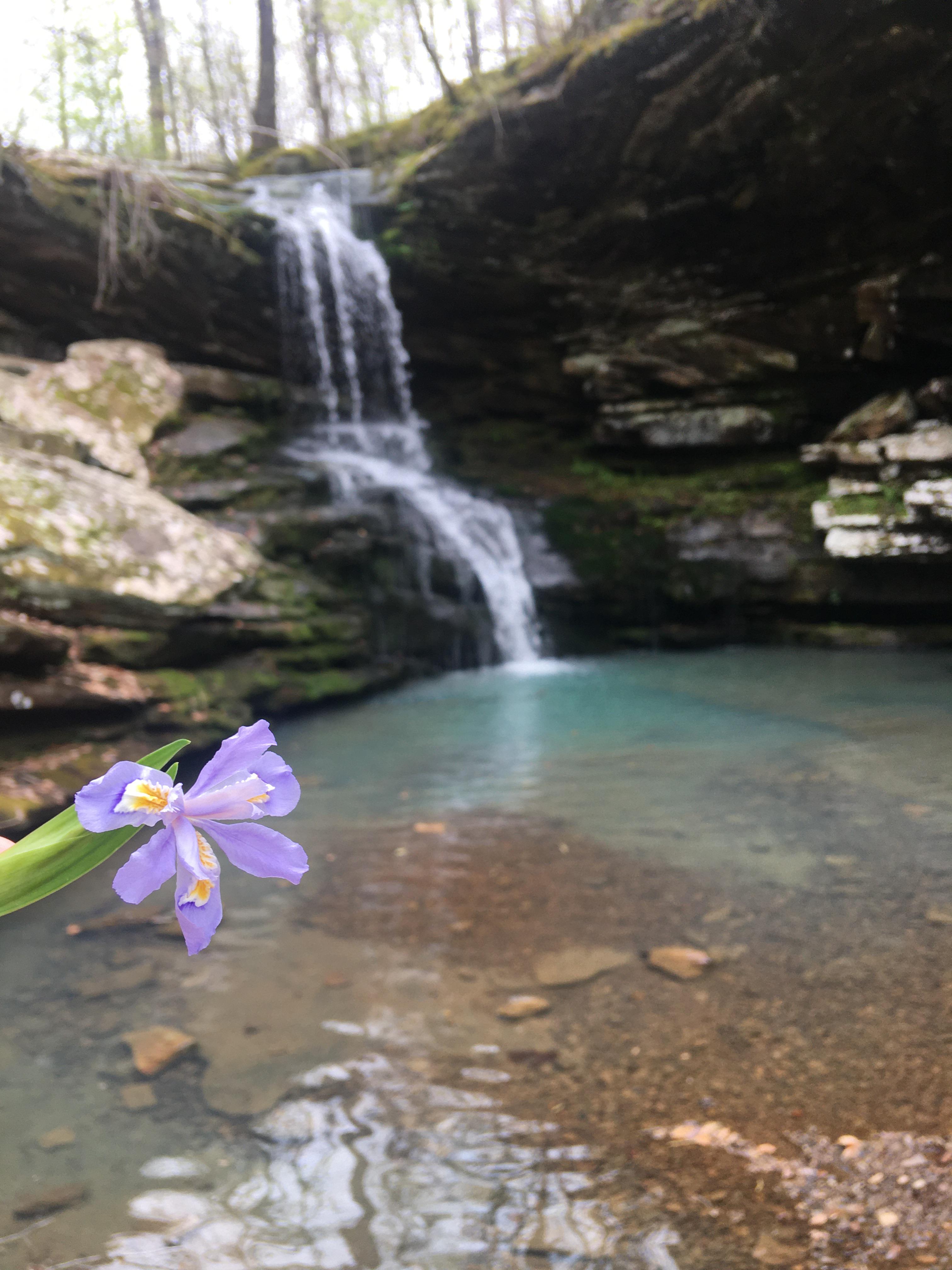 Magnolia Falls (Deer, Arkansas) r/hiking