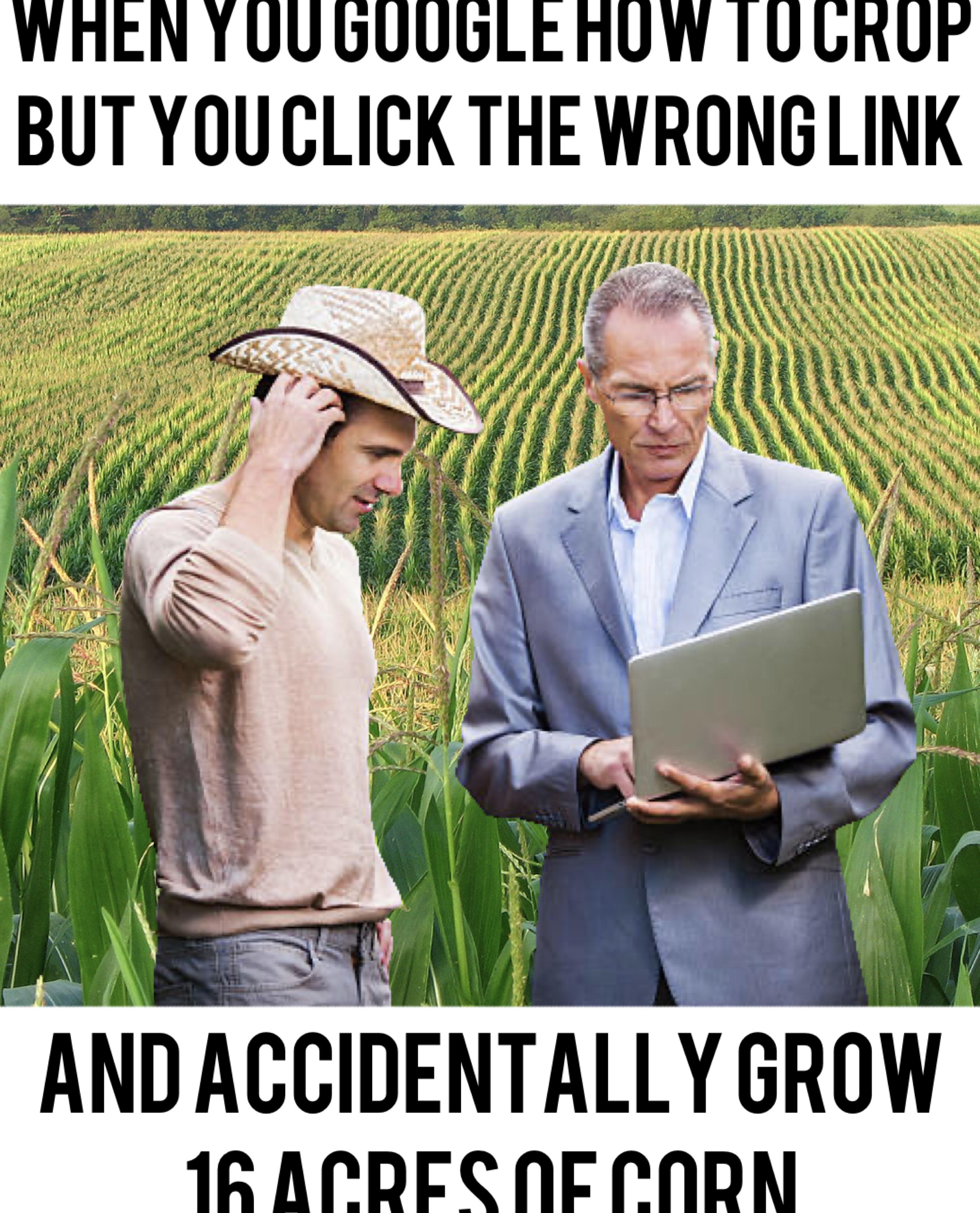 Accidental Farmer memes